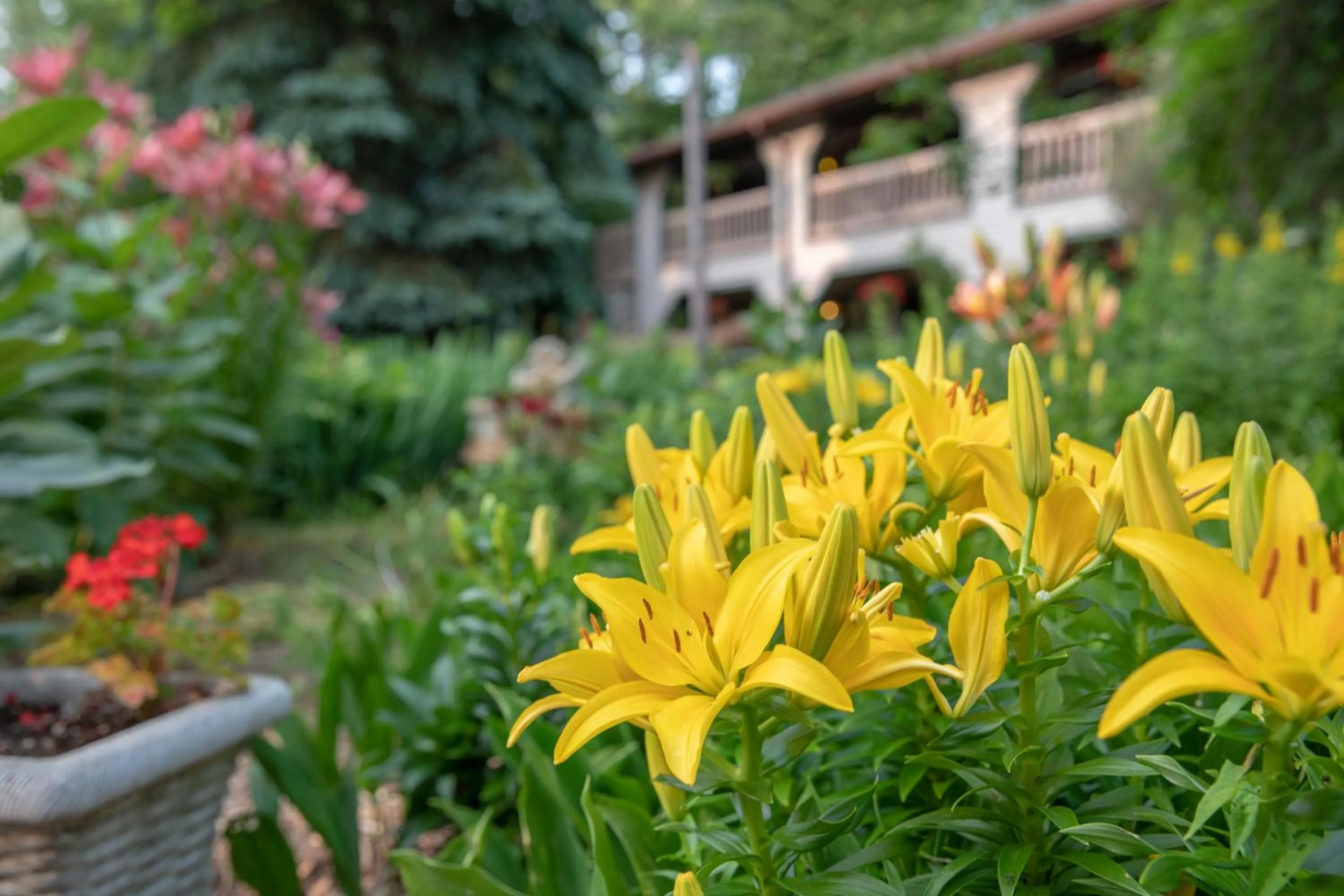 Coachlite Inn