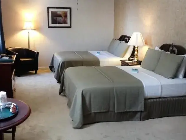 Deluxe Queen Room in Green Park Inn Deluxe Queen Room in Green Park Inn