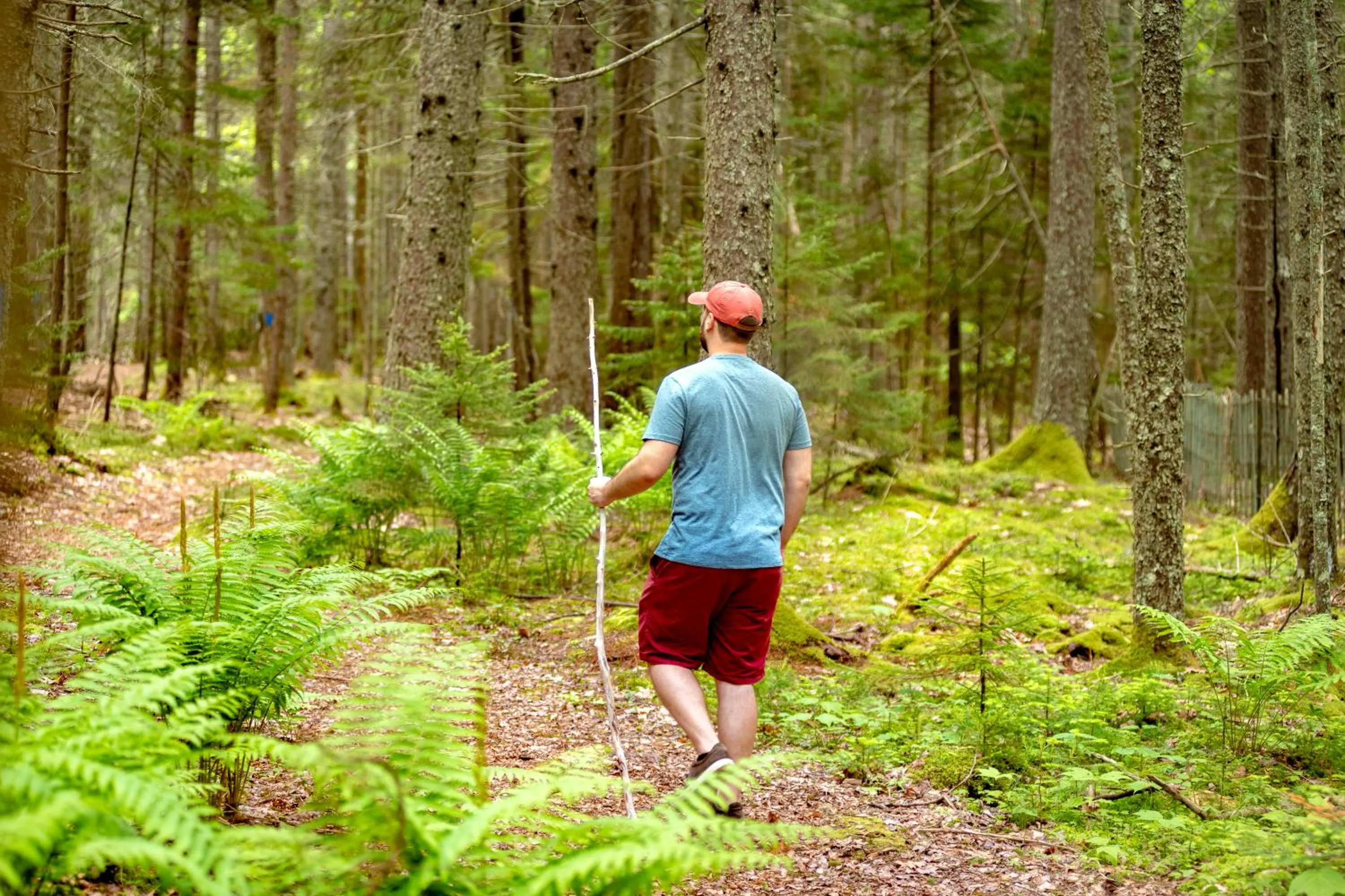 Spruce Point Inn Resort and Spa