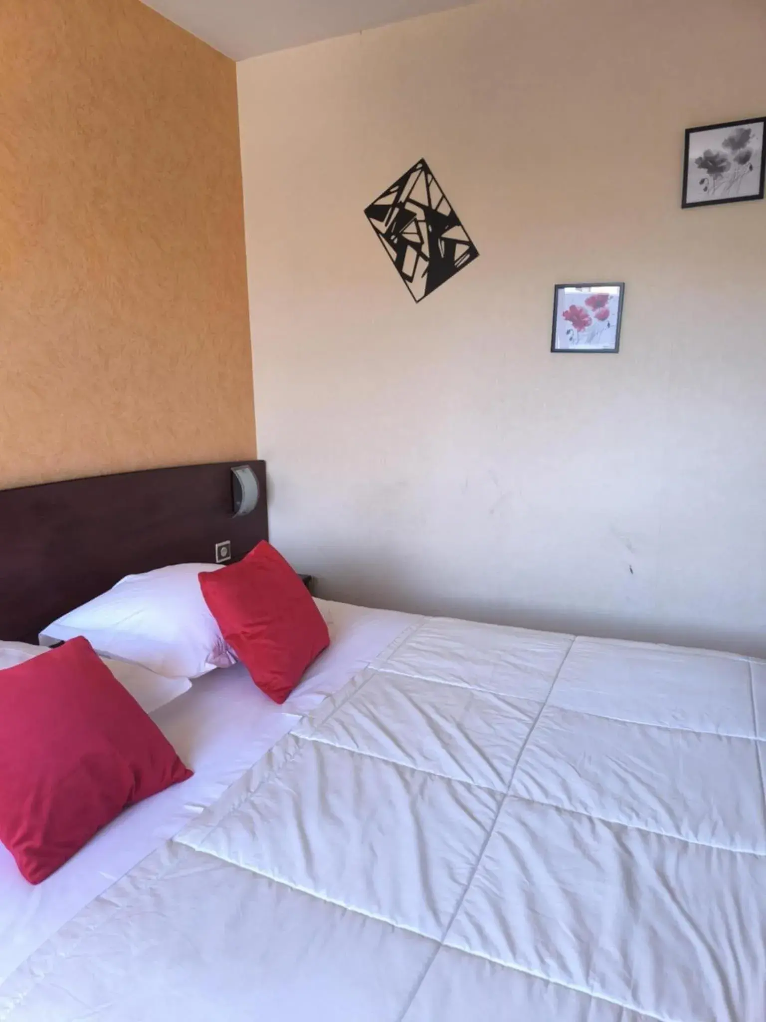 Double Room - single occupancy in Hôtel Saint Jacques Double Room - single occupancy in Hôtel Saint Jacques