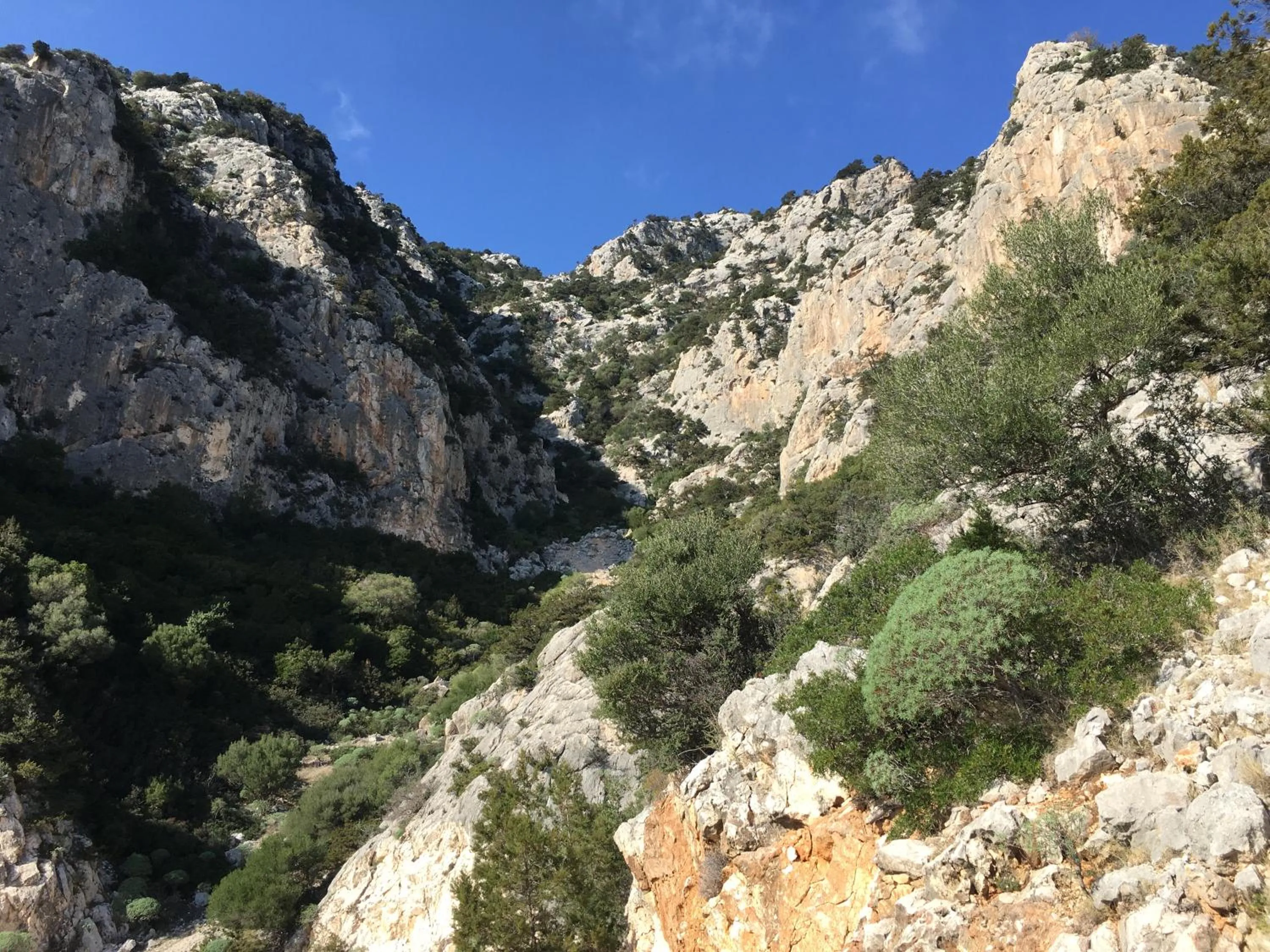 Natural landscape in CAV Mameli