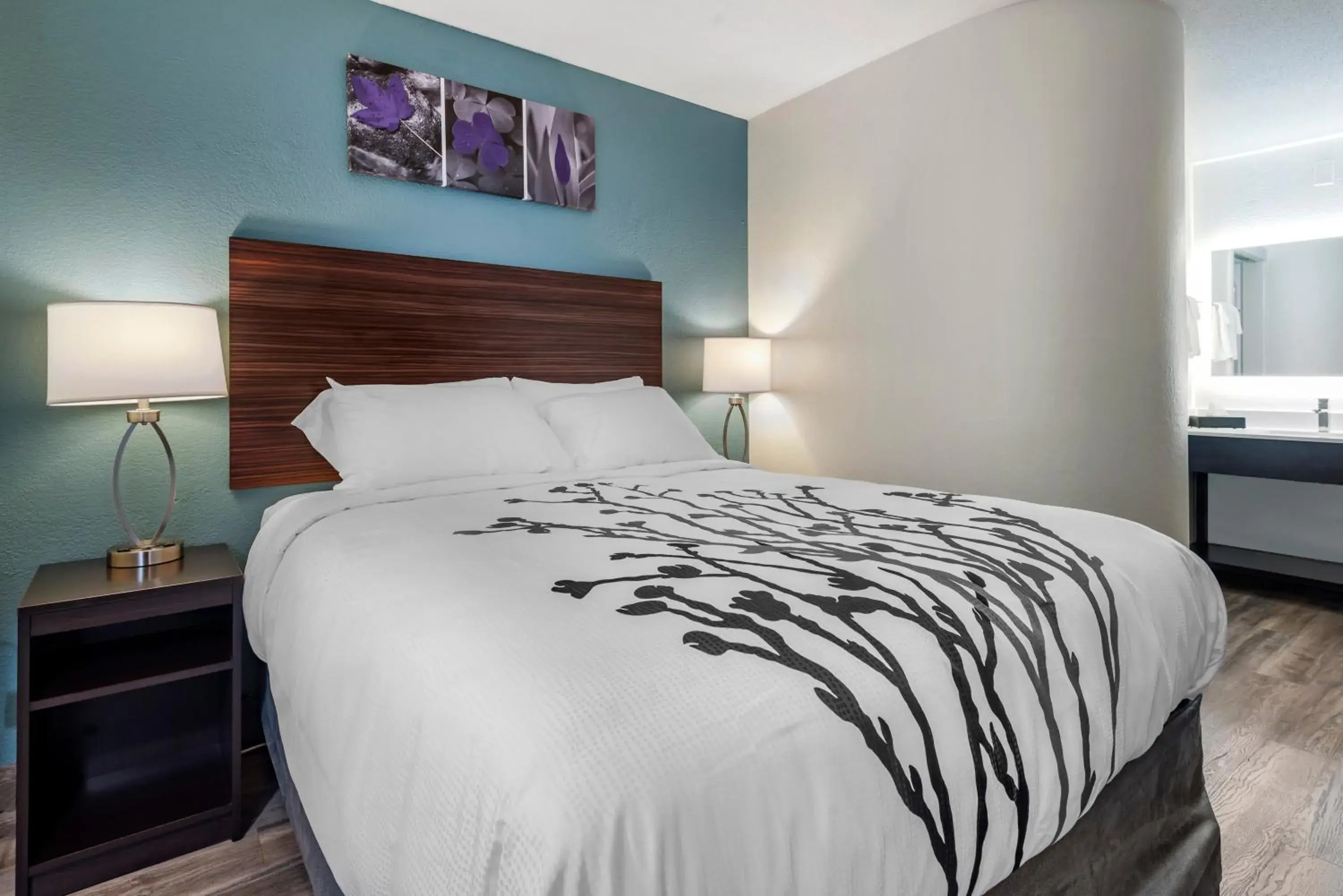 Queen Room - Accessible/Non-Smoking in Sleep Inn - Salisbury I-85 Queen Room - Accessible/Non-Smoking in Sleep Inn - Salisbury I-85