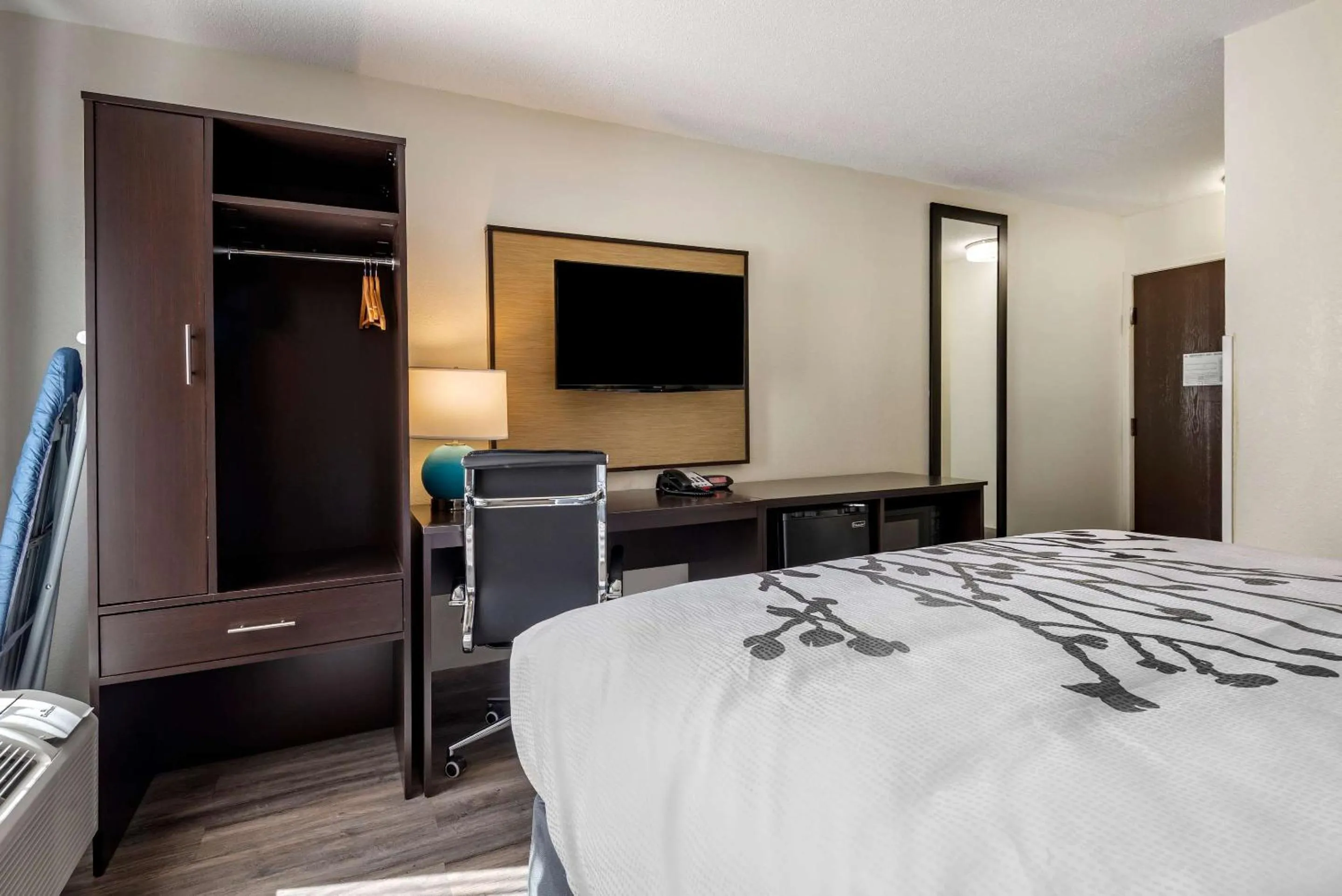 Bedroom, Bed in Sleep Inn - Salisbury I-85