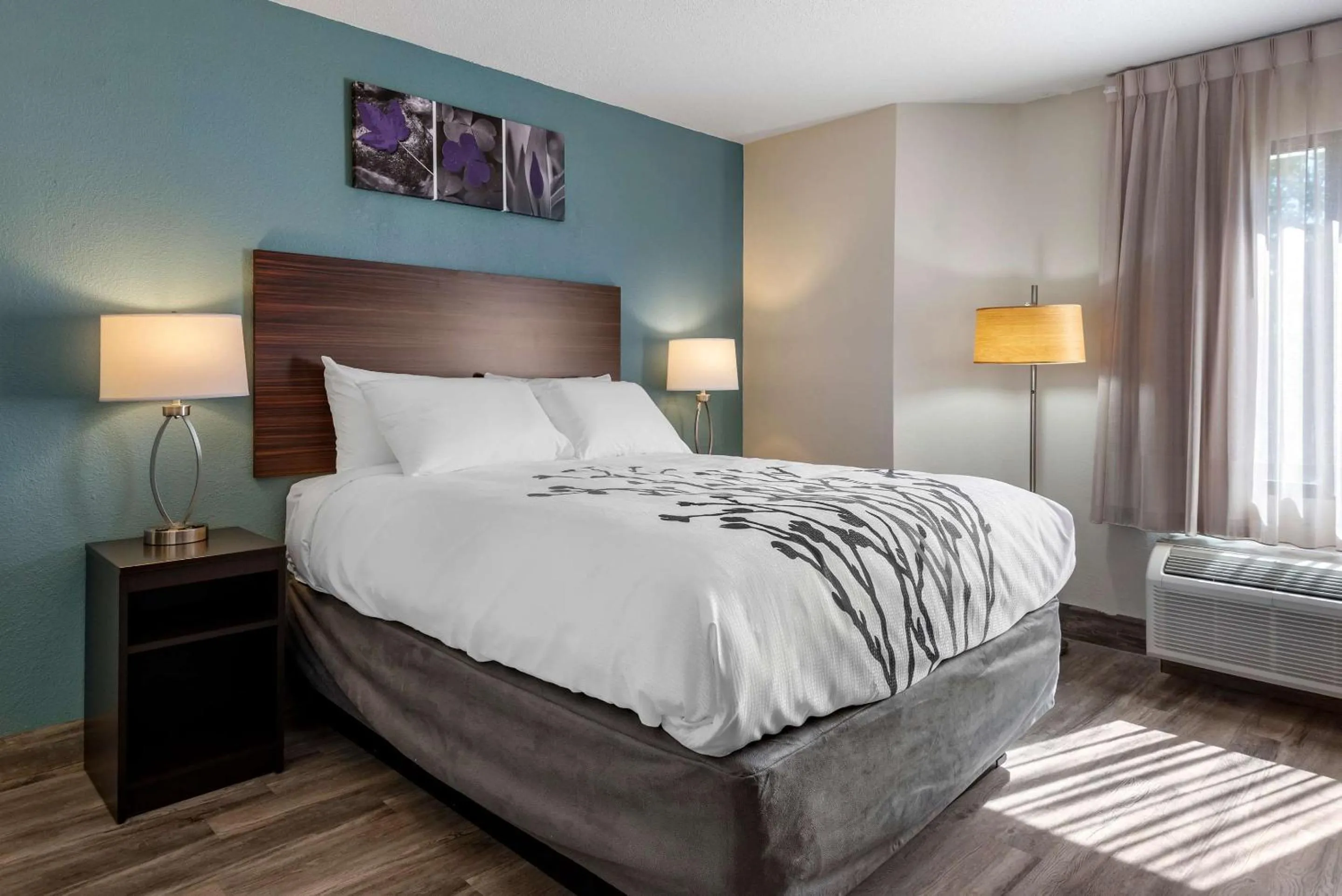 Bedroom, Bed in Sleep Inn - Salisbury I-85