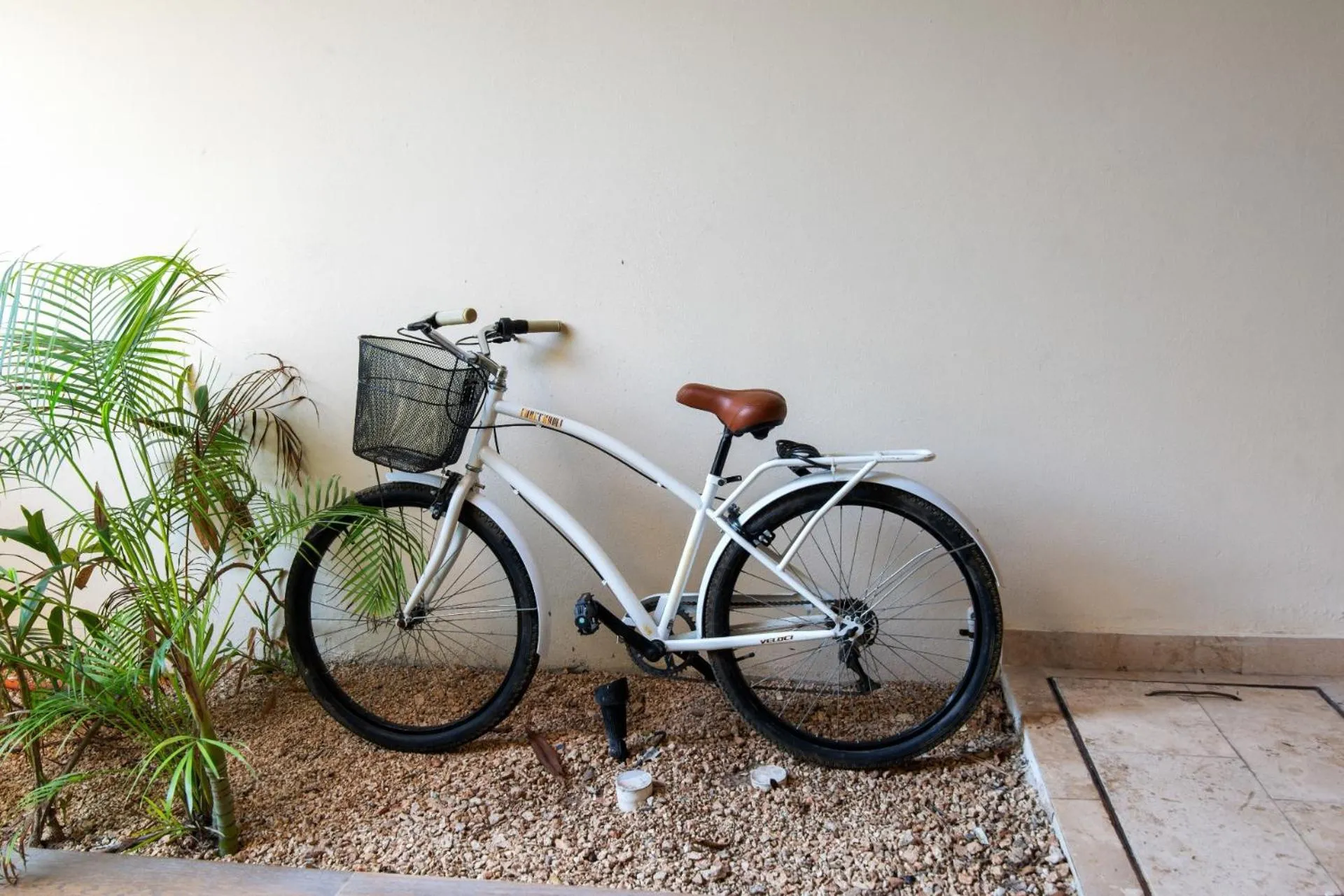 Cycling in Luxurious Penthouse with Jungle View & Private Pool