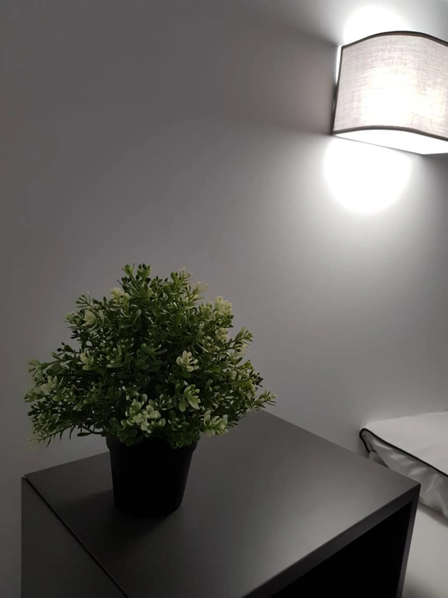 Decorative detail in Cool Guest House