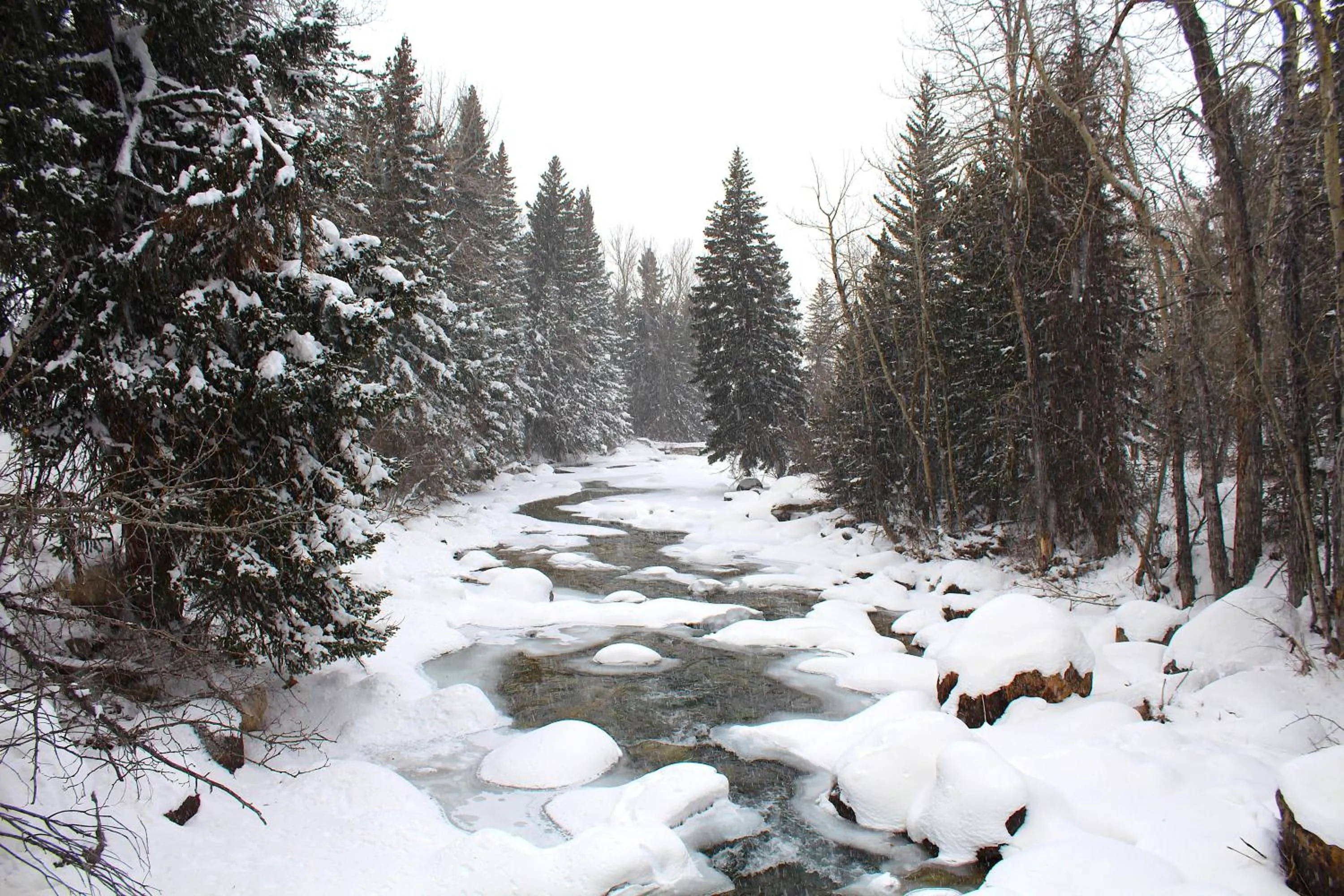 Rock Creek Resort