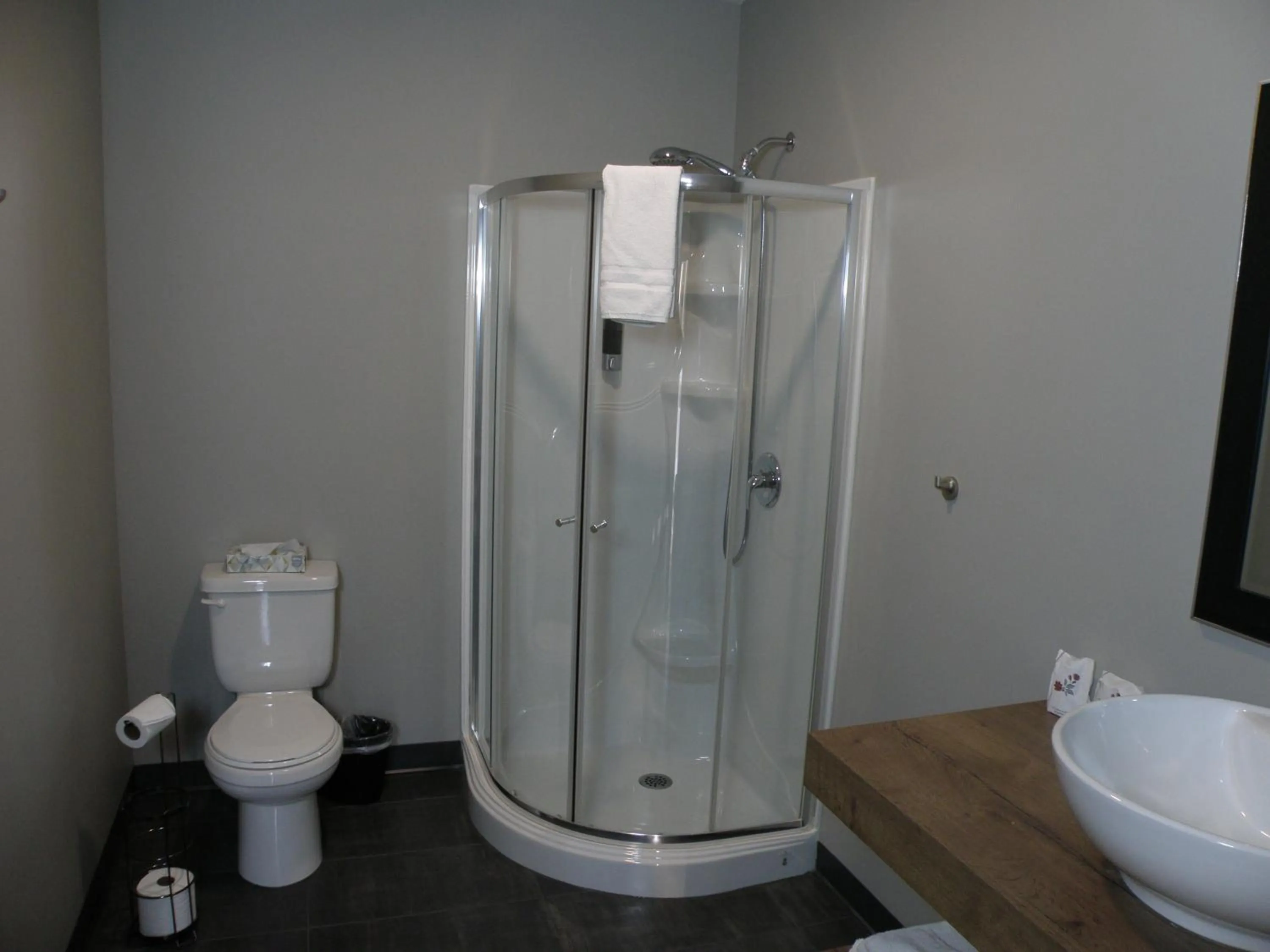 Shower in Motel Hotelia