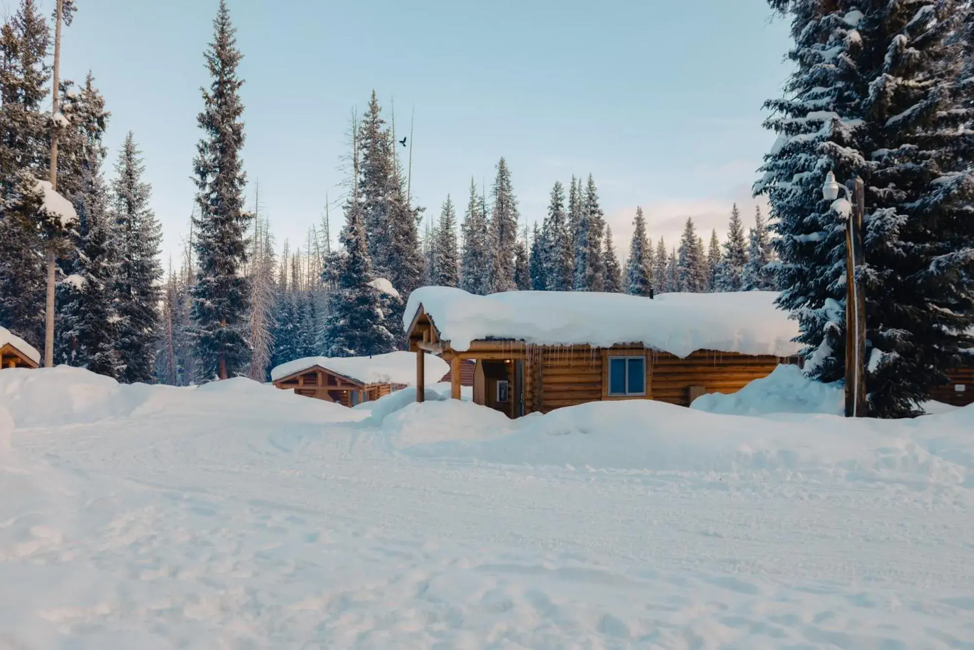 Property building in Togwotee Mountain Lodge Property building in Togwotee Mountain Lodge