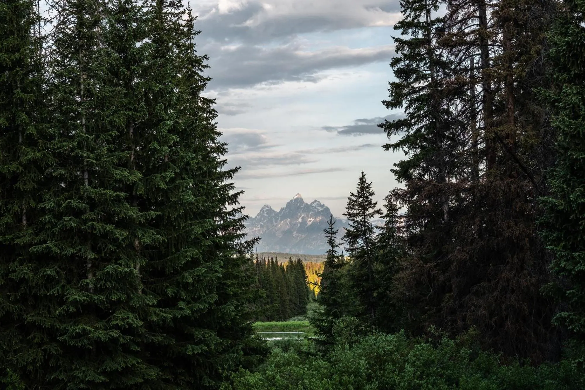 Natural landscape in Togwotee Mountain Lodge