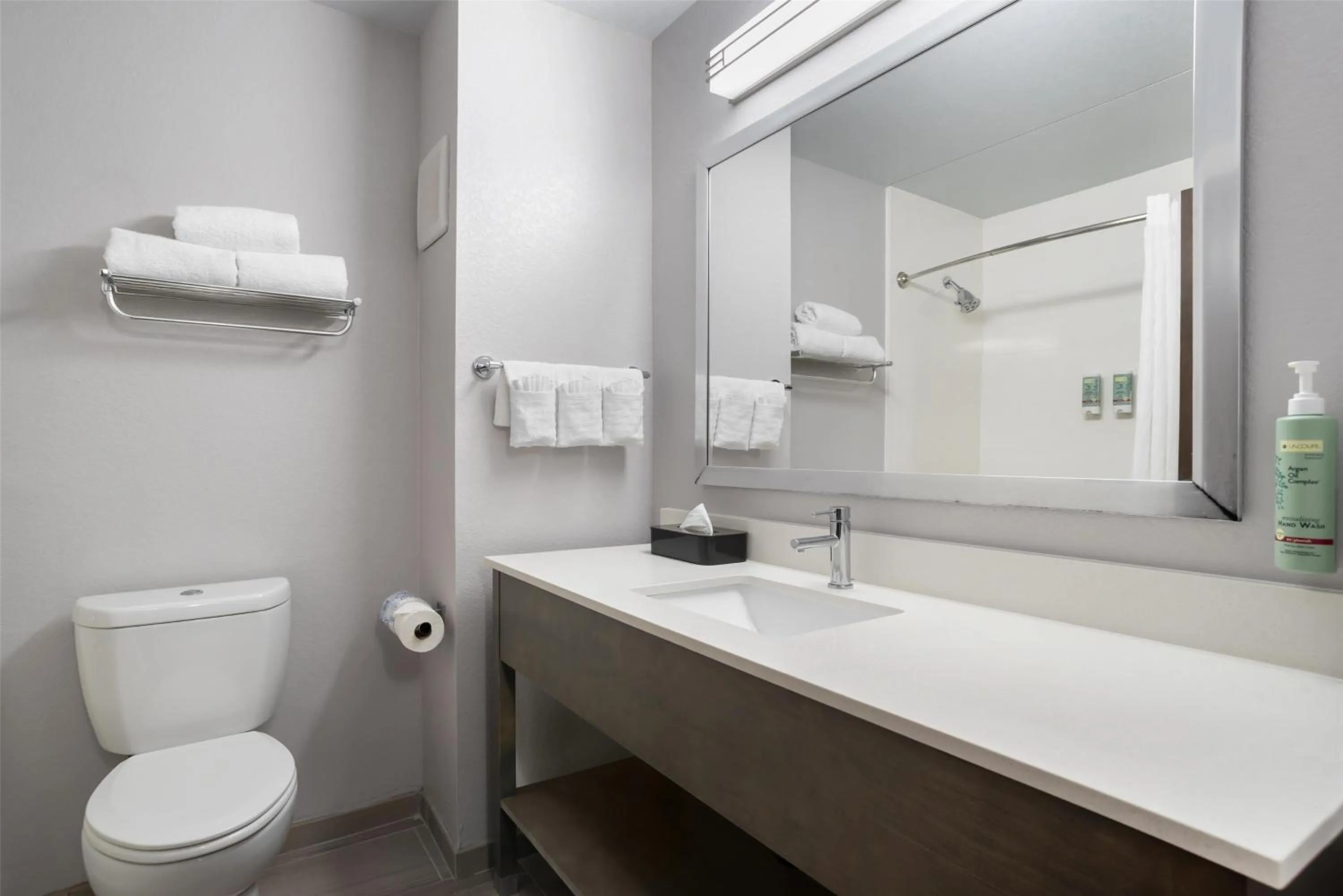 Bathroom in Best Western Brewton Inn