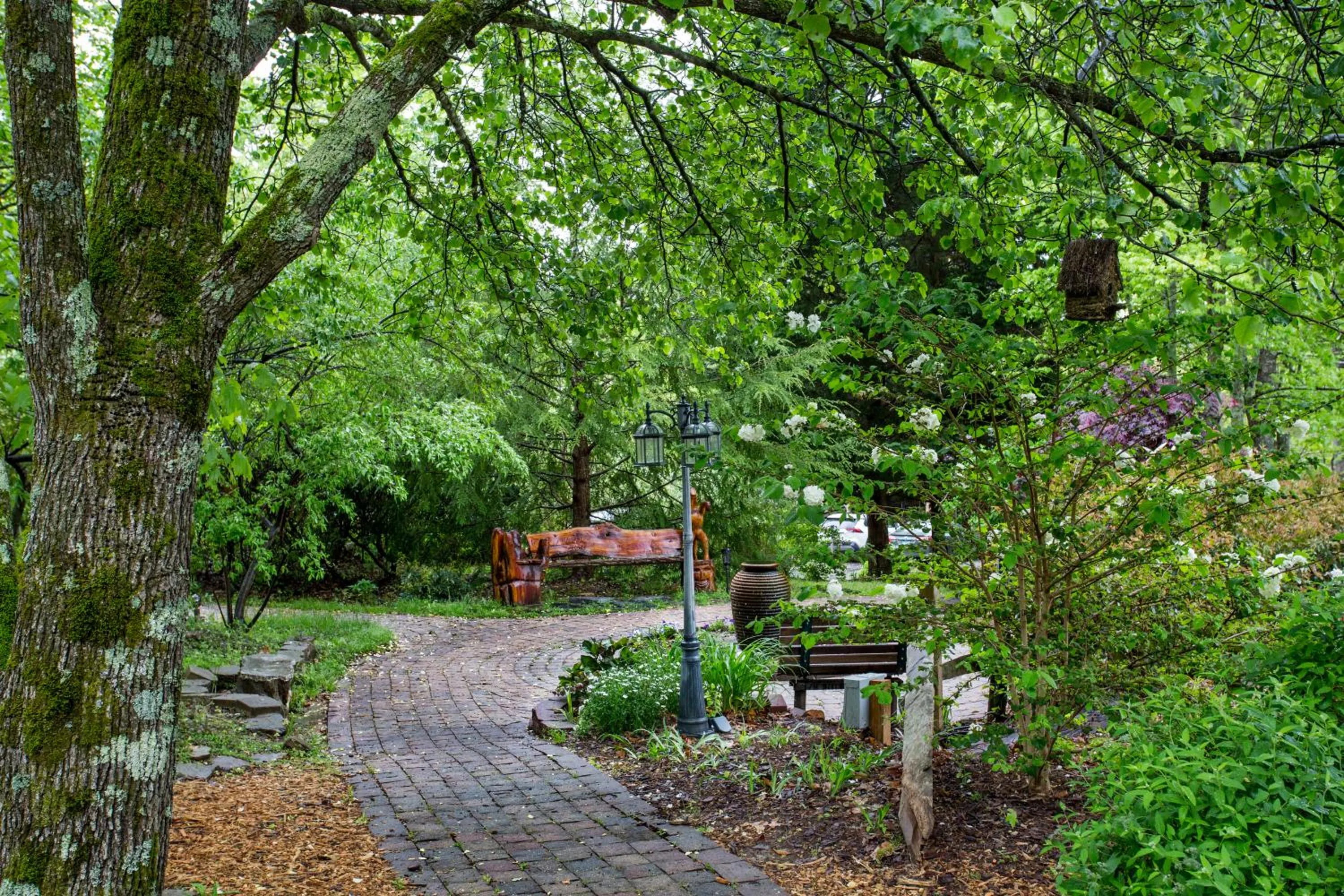 Forrest Hills Mountain Resort