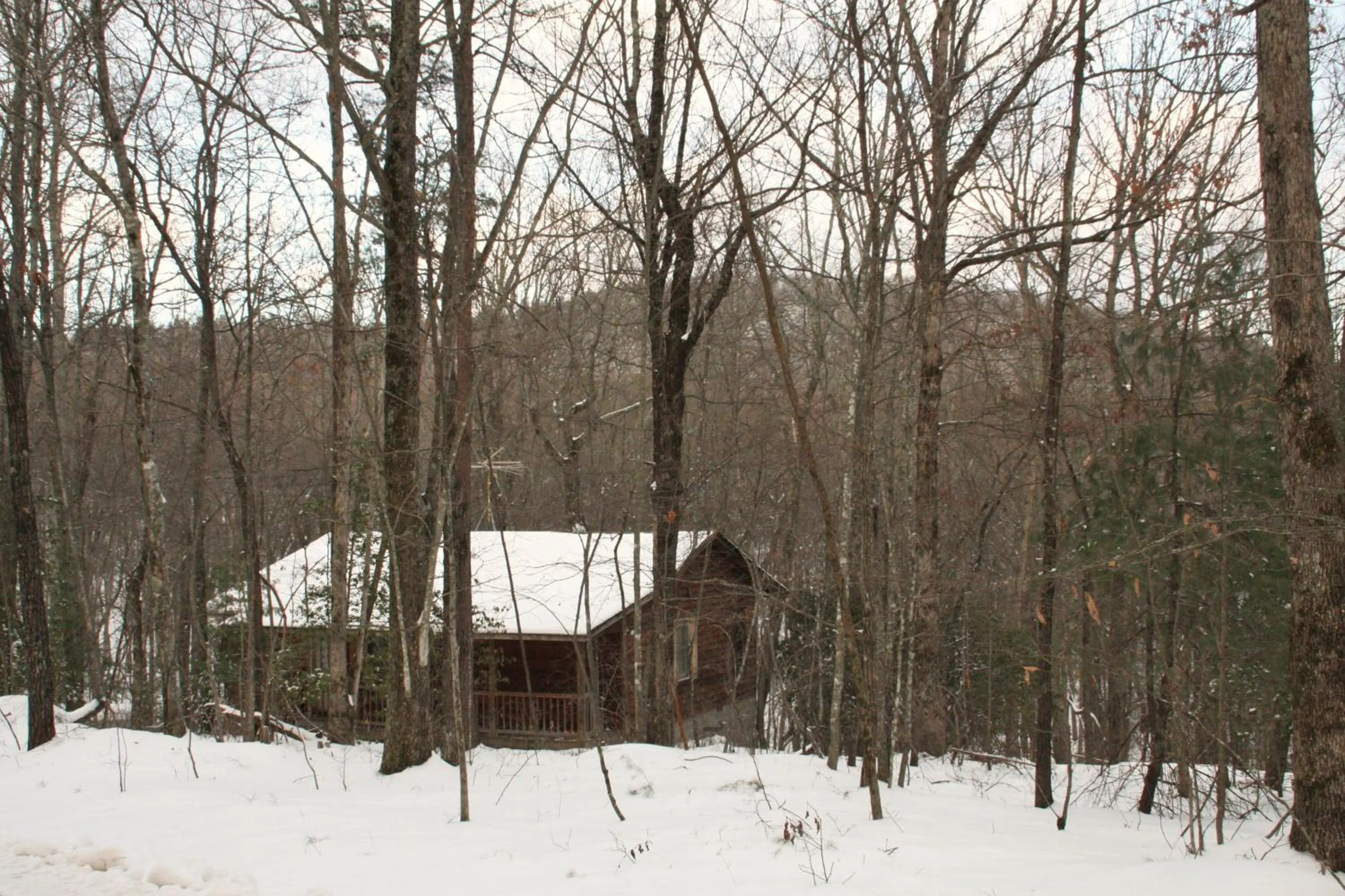 Property building in Forrest Hills Mountain Resort