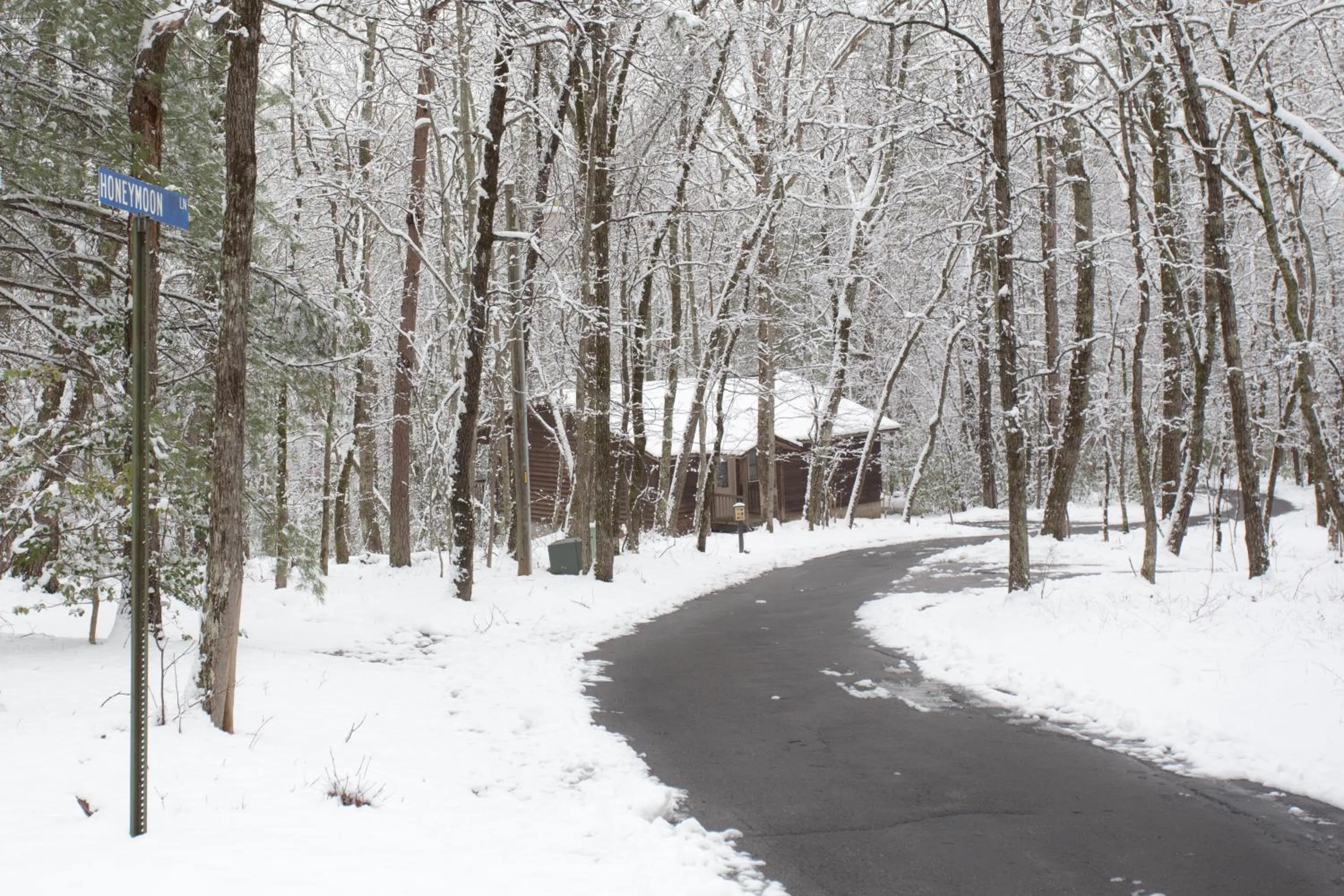 Property building in Forrest Hills Mountain Resort