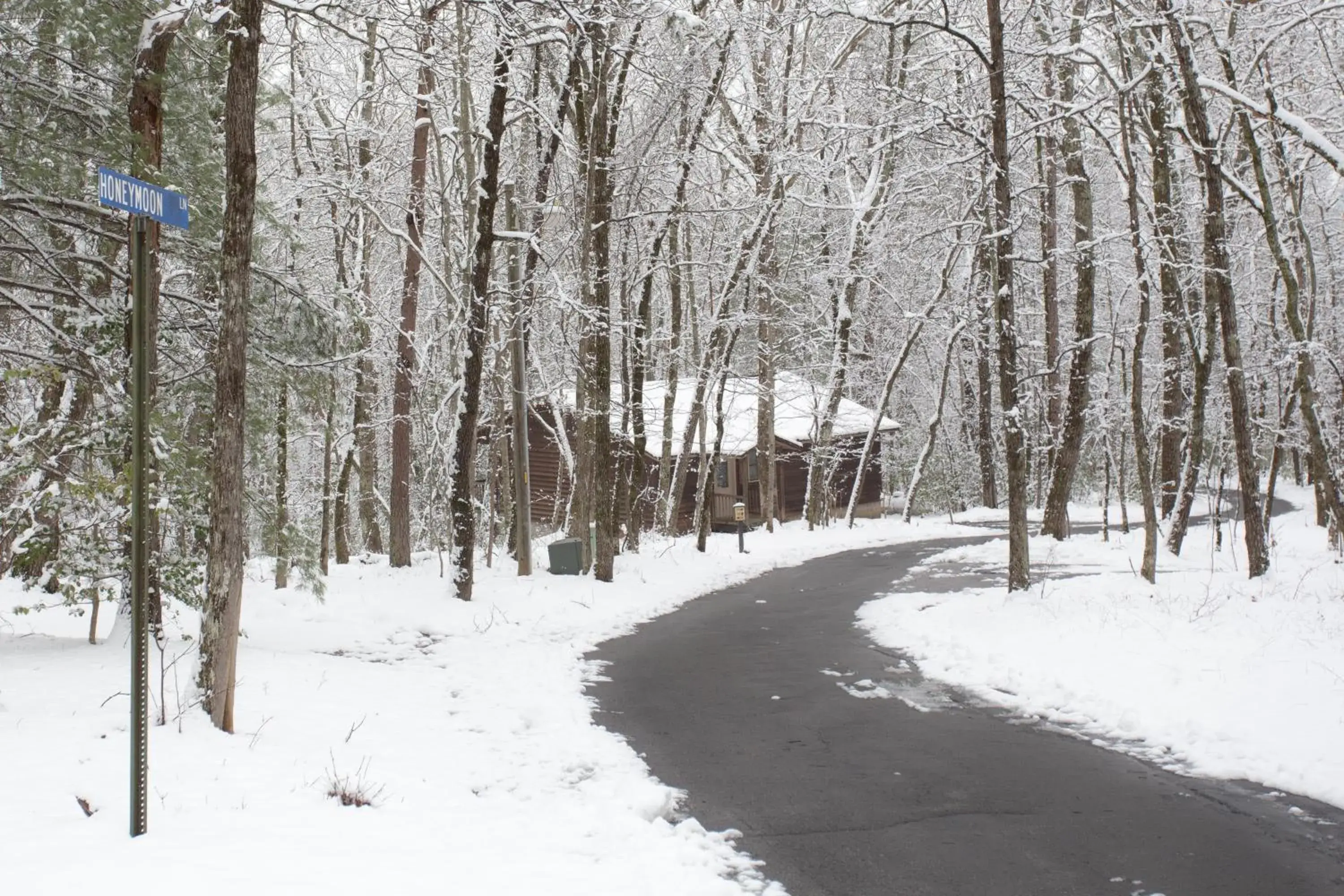 Property building in Forrest Hills Mountain Resort Property building in Forrest Hills Mountain Resort