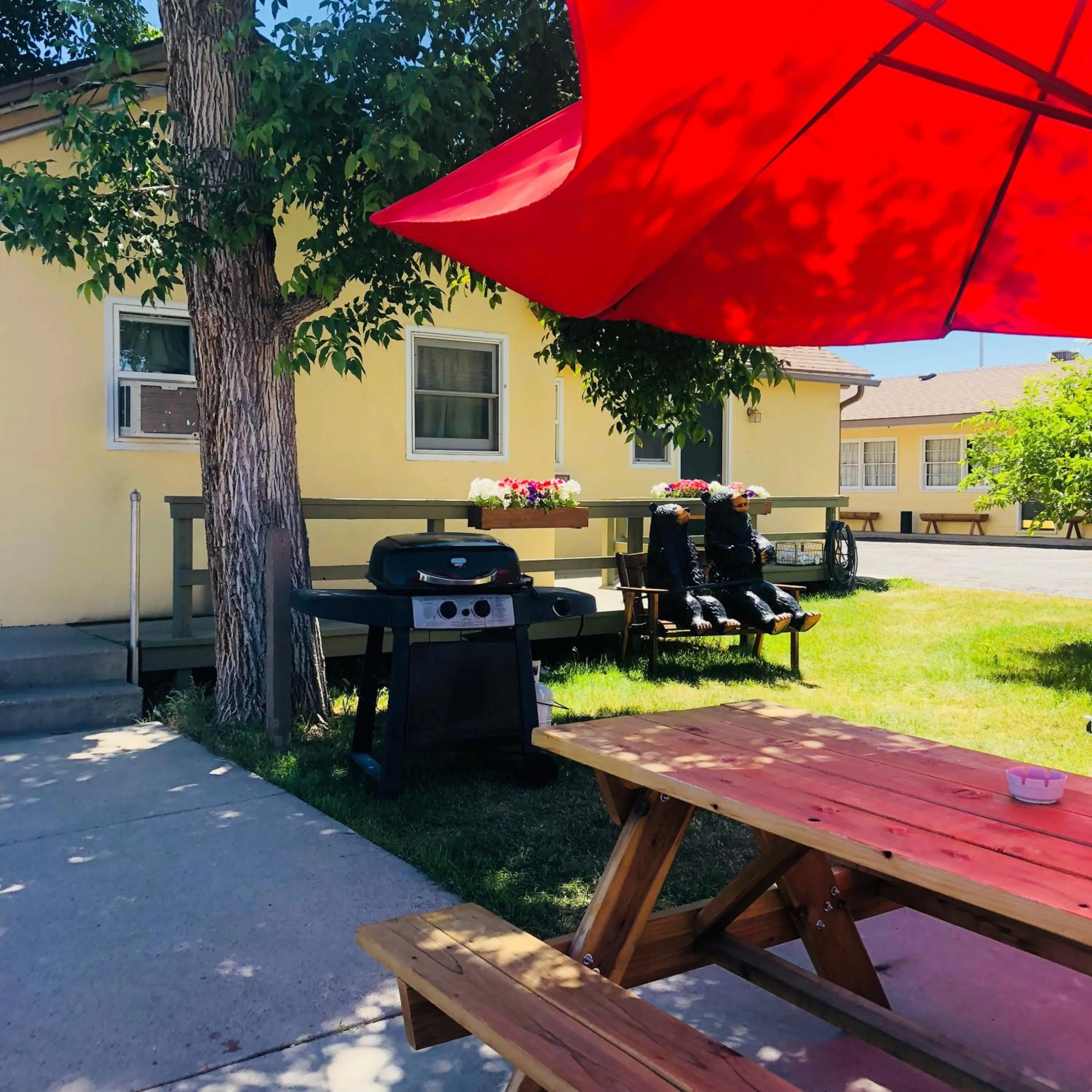 Patio in A Western Rose