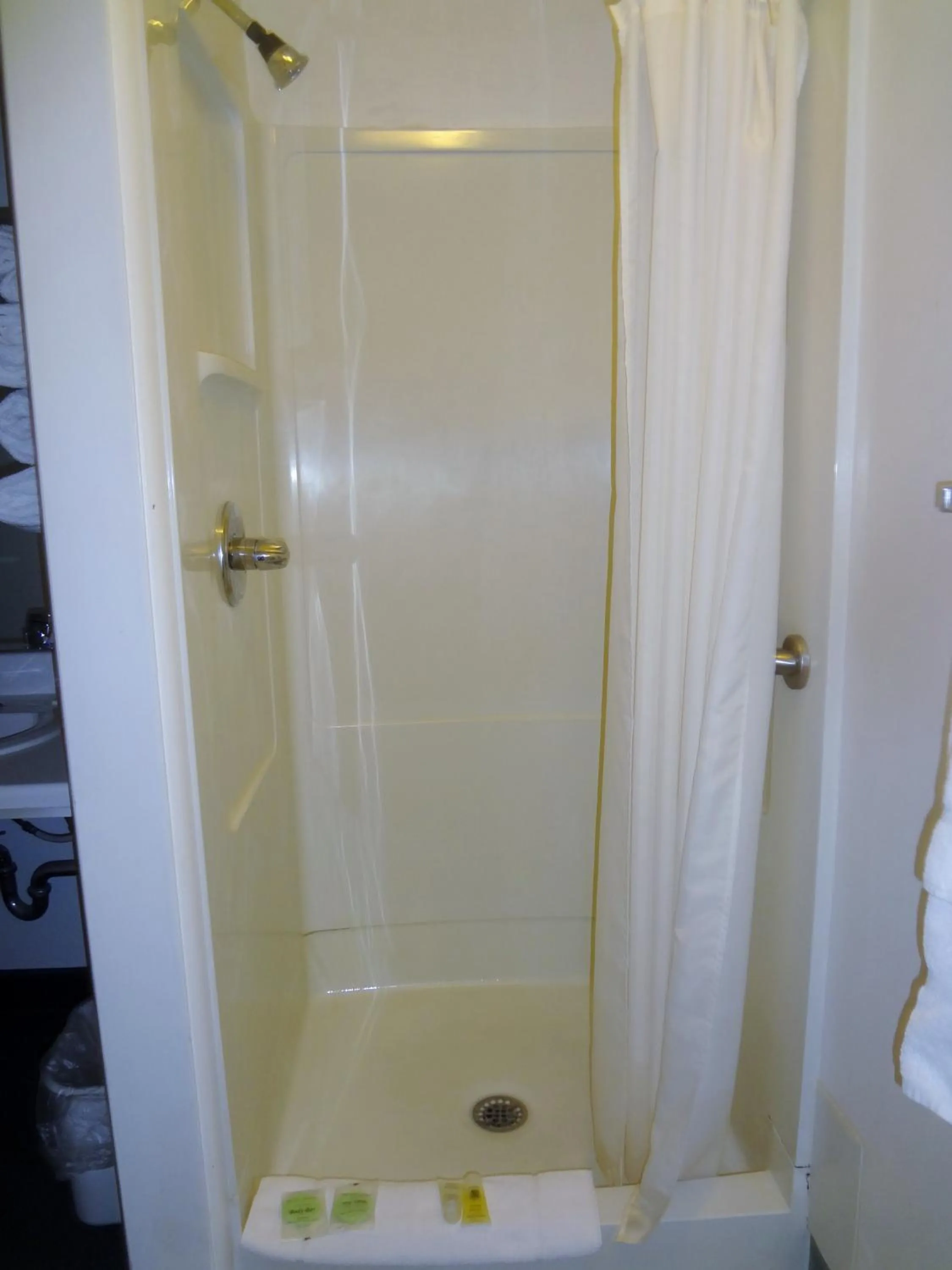 Shower in A Western Rose