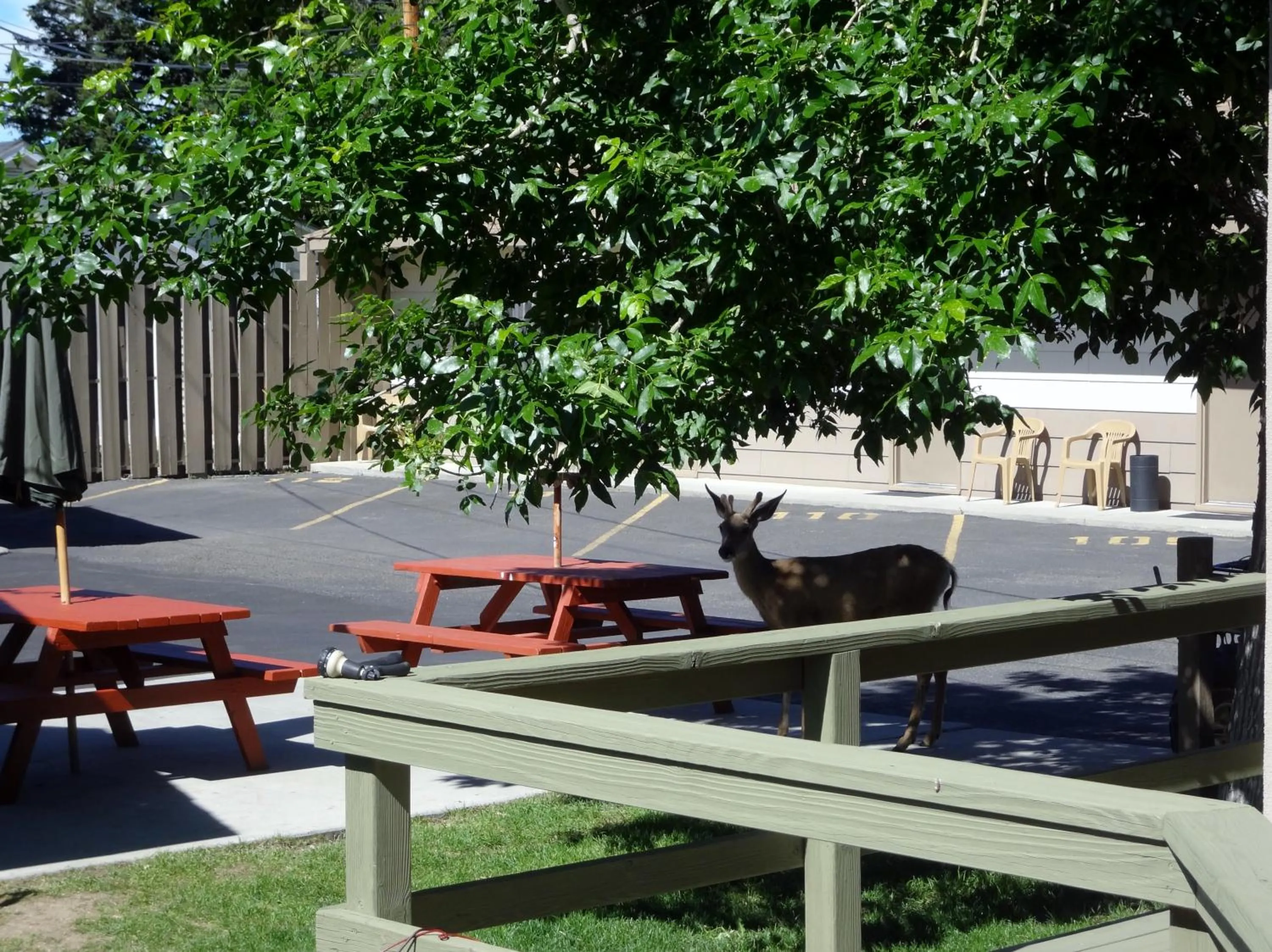 BBQ facilities in A Western Rose