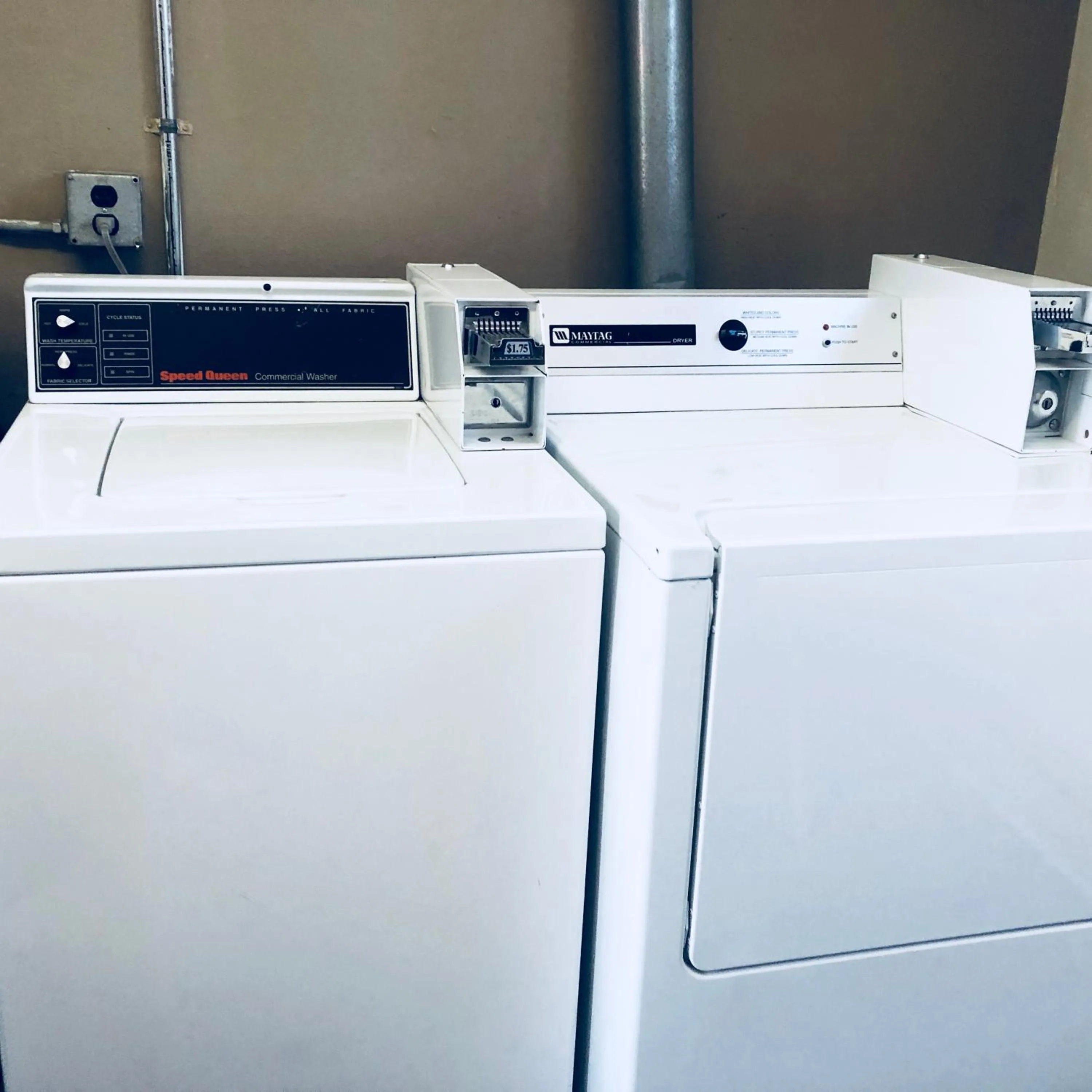 Area and facilities in A Western Rose