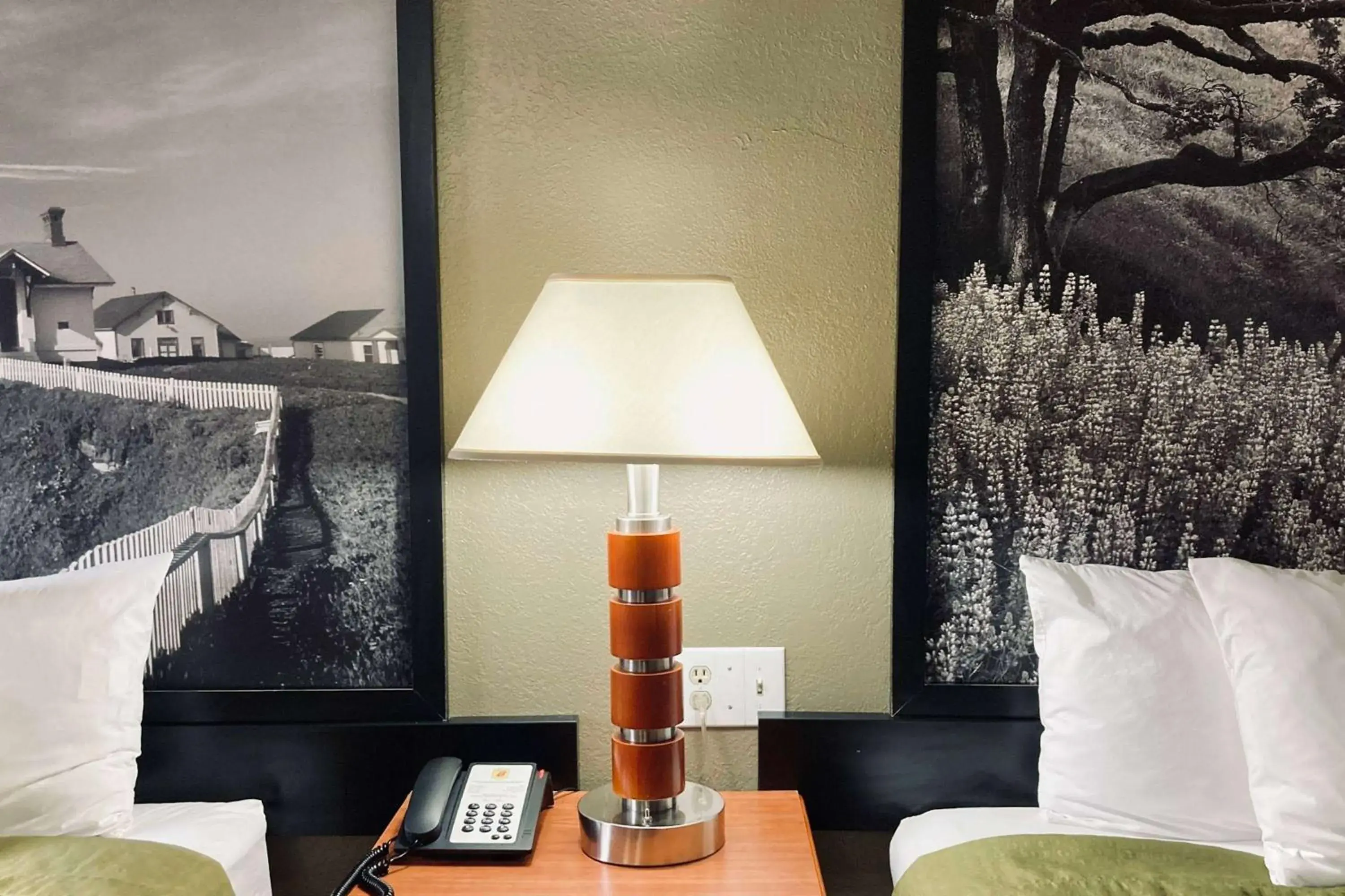 Photo of the whole room, Bed in Super 8 by Wyndham Colorado Springs/Afa Area Photo of the whole room, Bed in Super 8 by Wyndham Colorado Springs/Afa Area