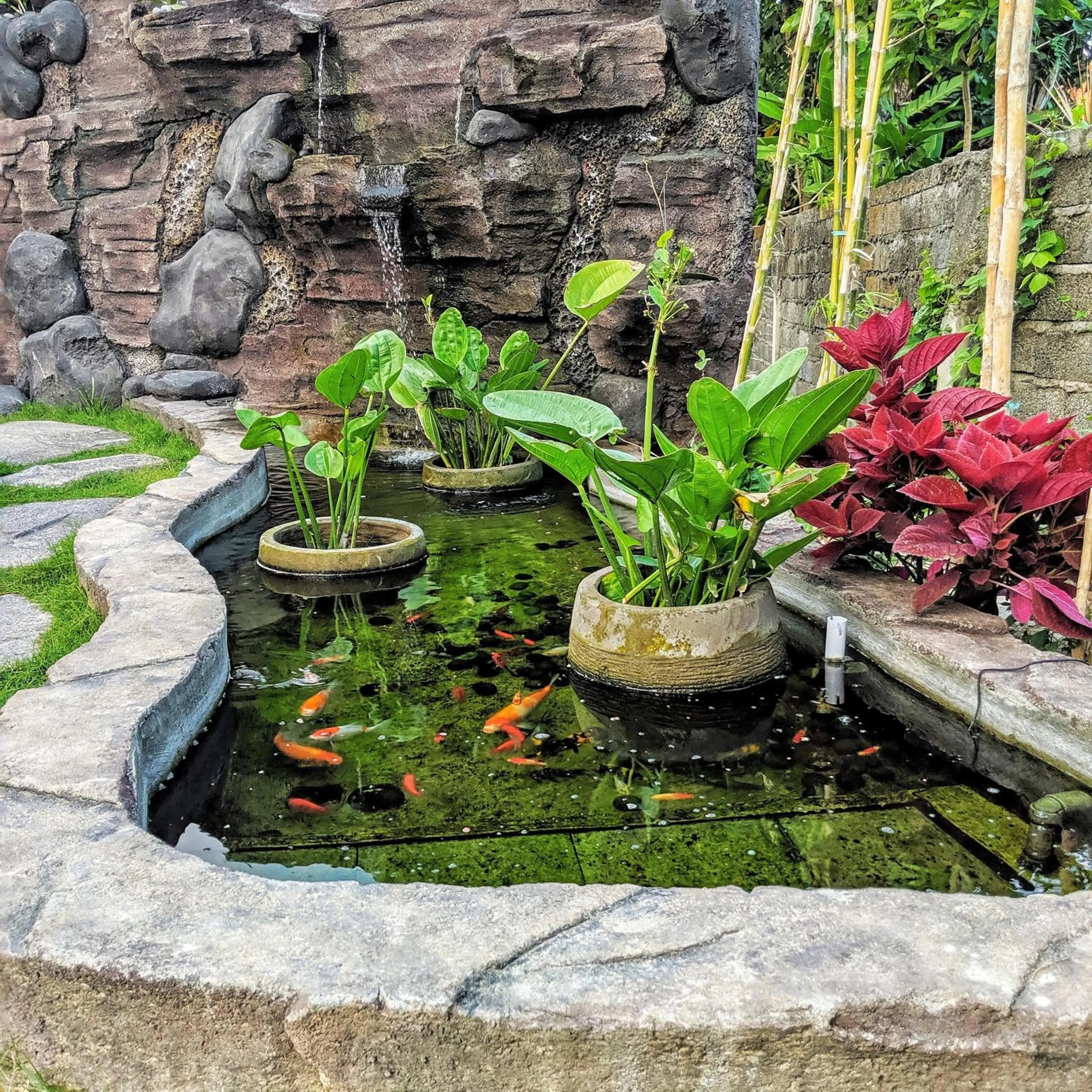 Garden in Ohana Pererenan