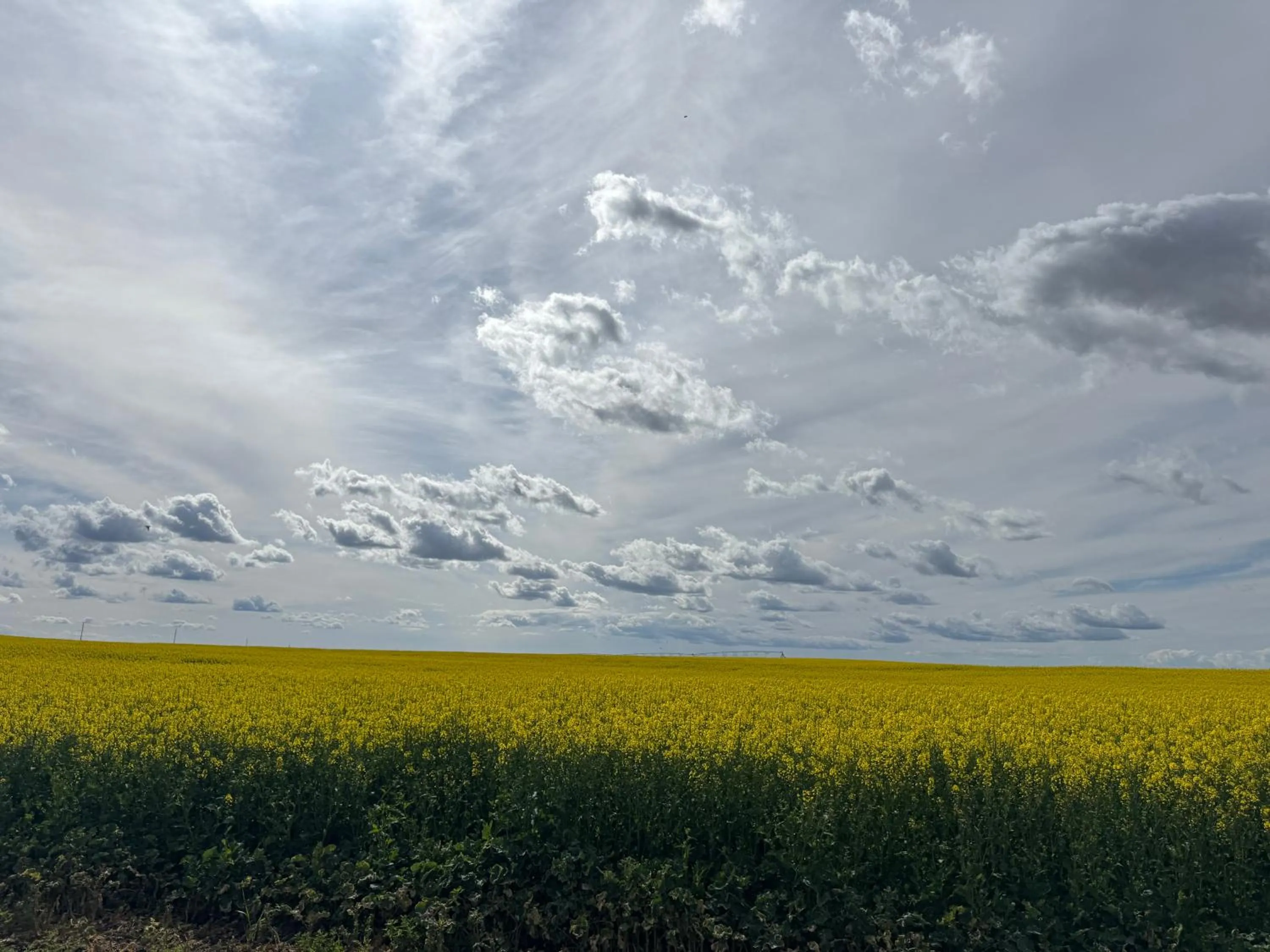 Morgan Inn and Suites Walla Walla