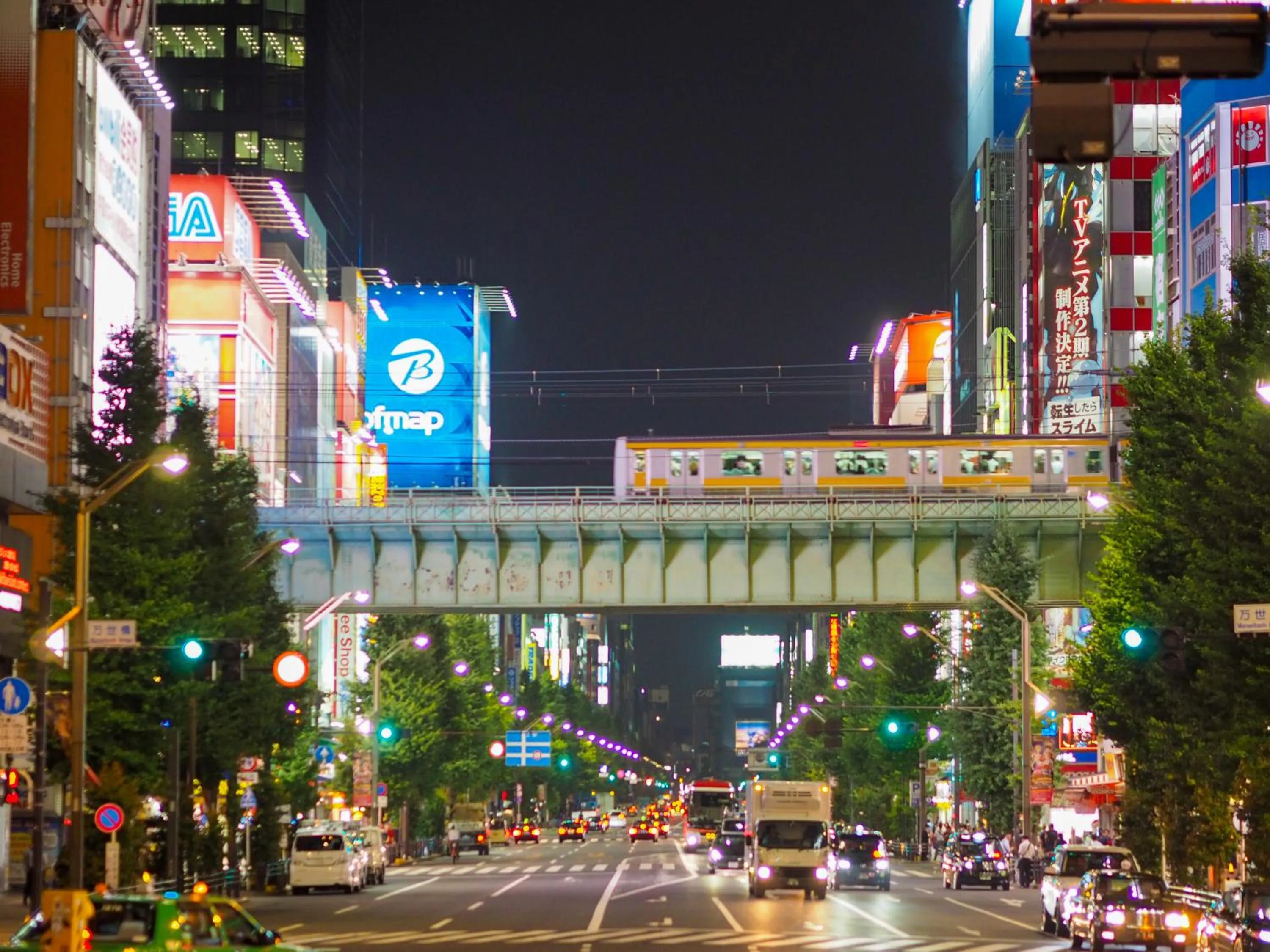 Nearby landmark in Super Hotel Premier Akihabara