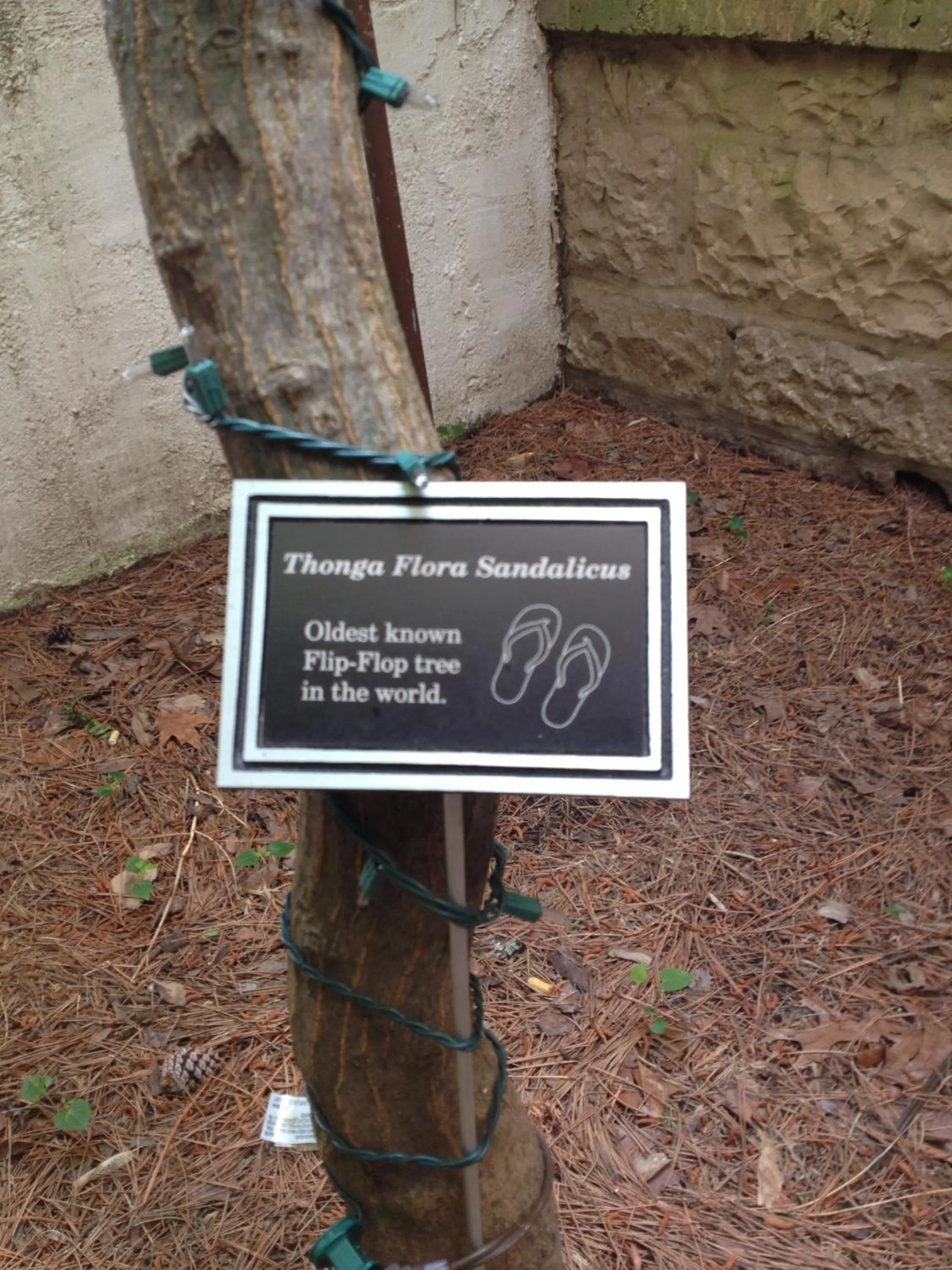 Decorative detail in Matterhorn Tower