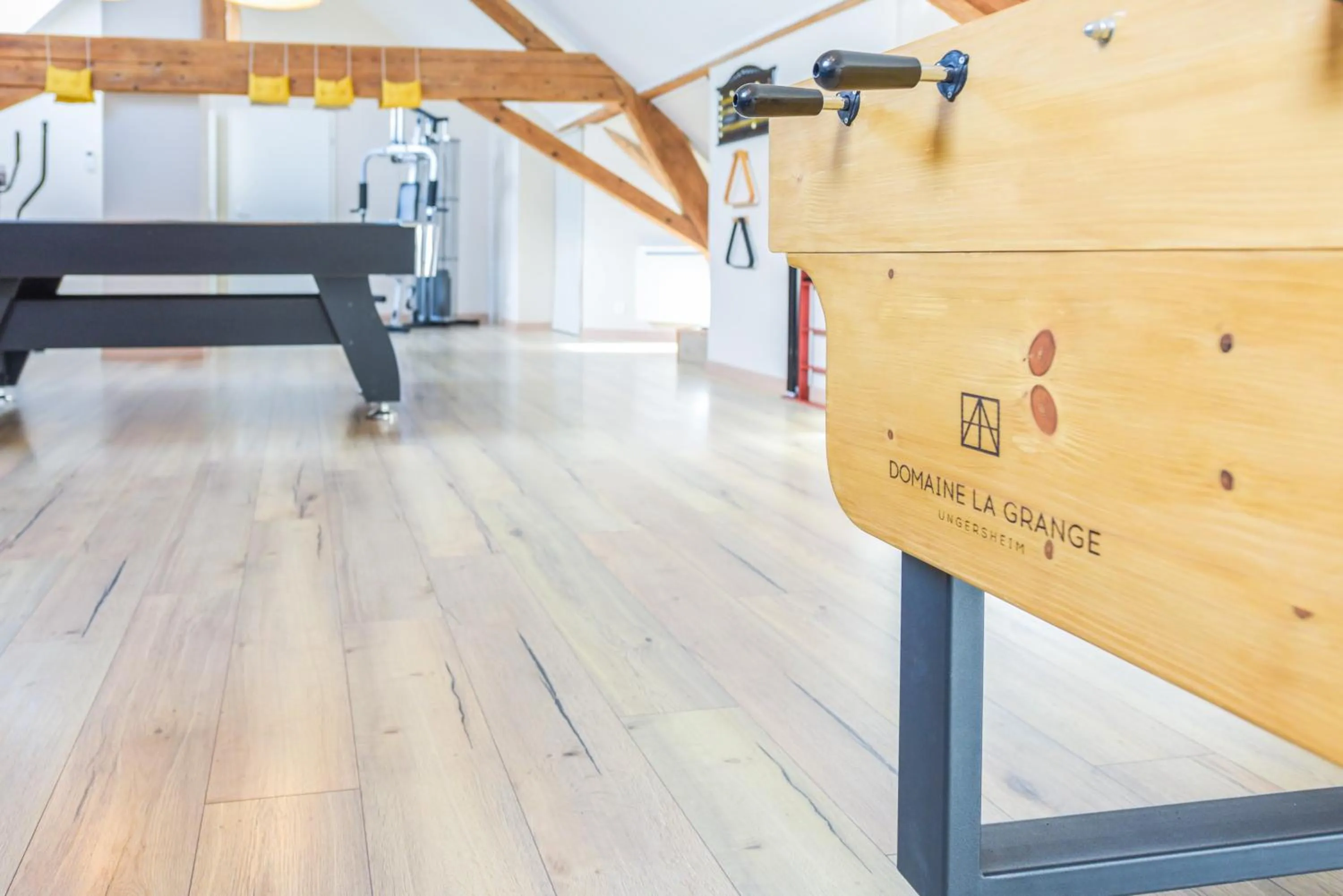 Game Room in Domaine La Grange Ungersheim - Gîte La Grange 5 étoiles