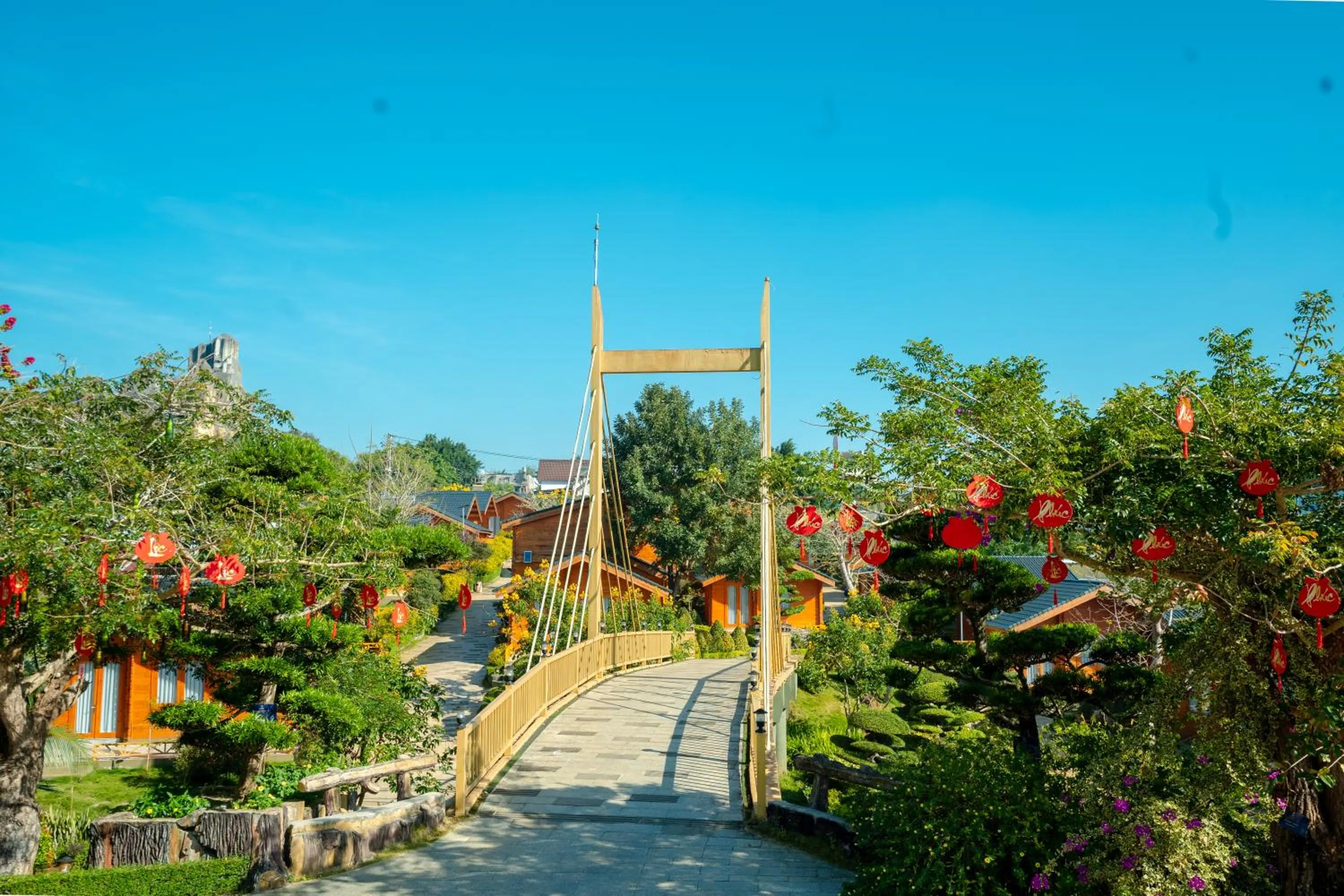 Natural landscape in Tea Resort