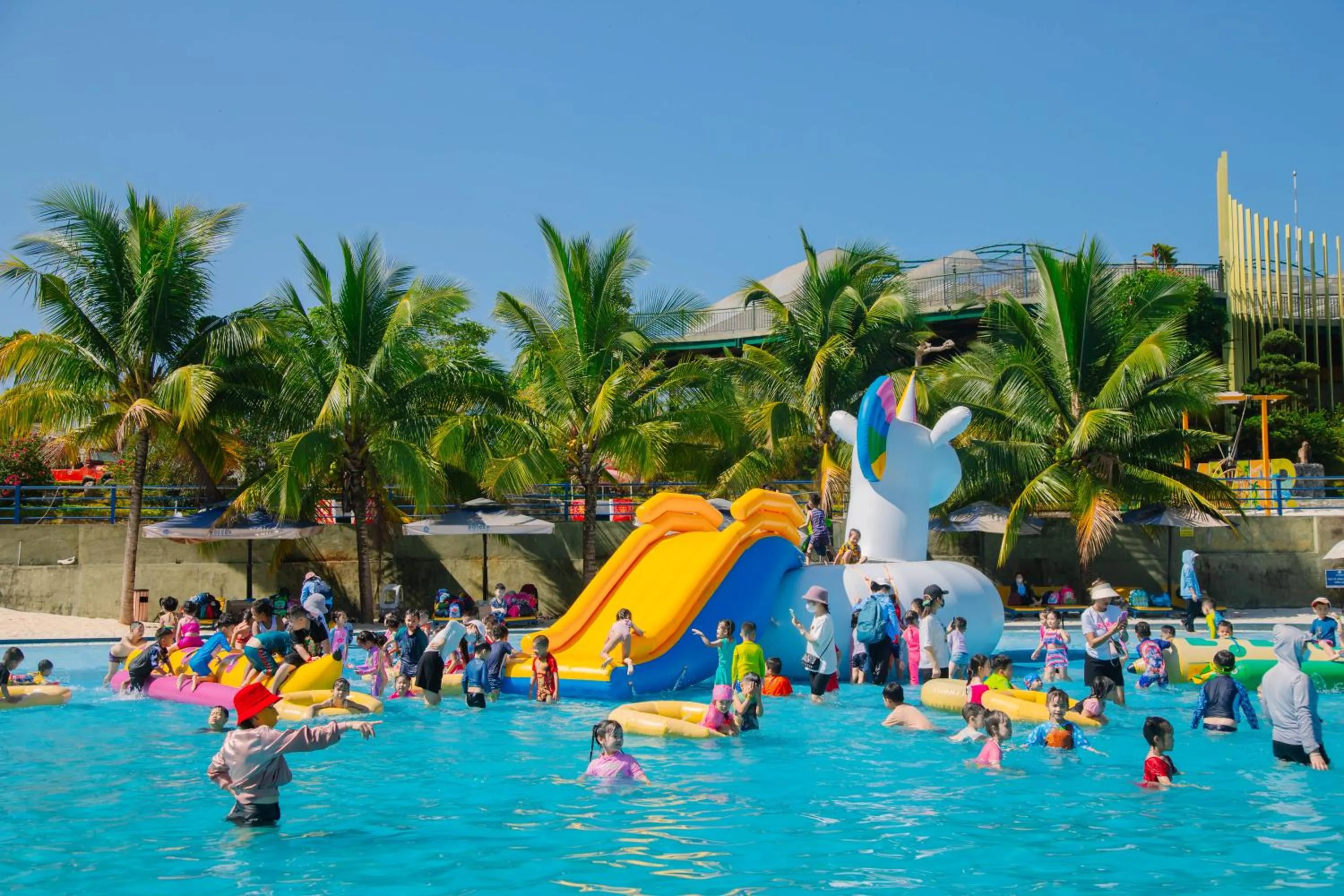 Swimming pool in Tea Resort