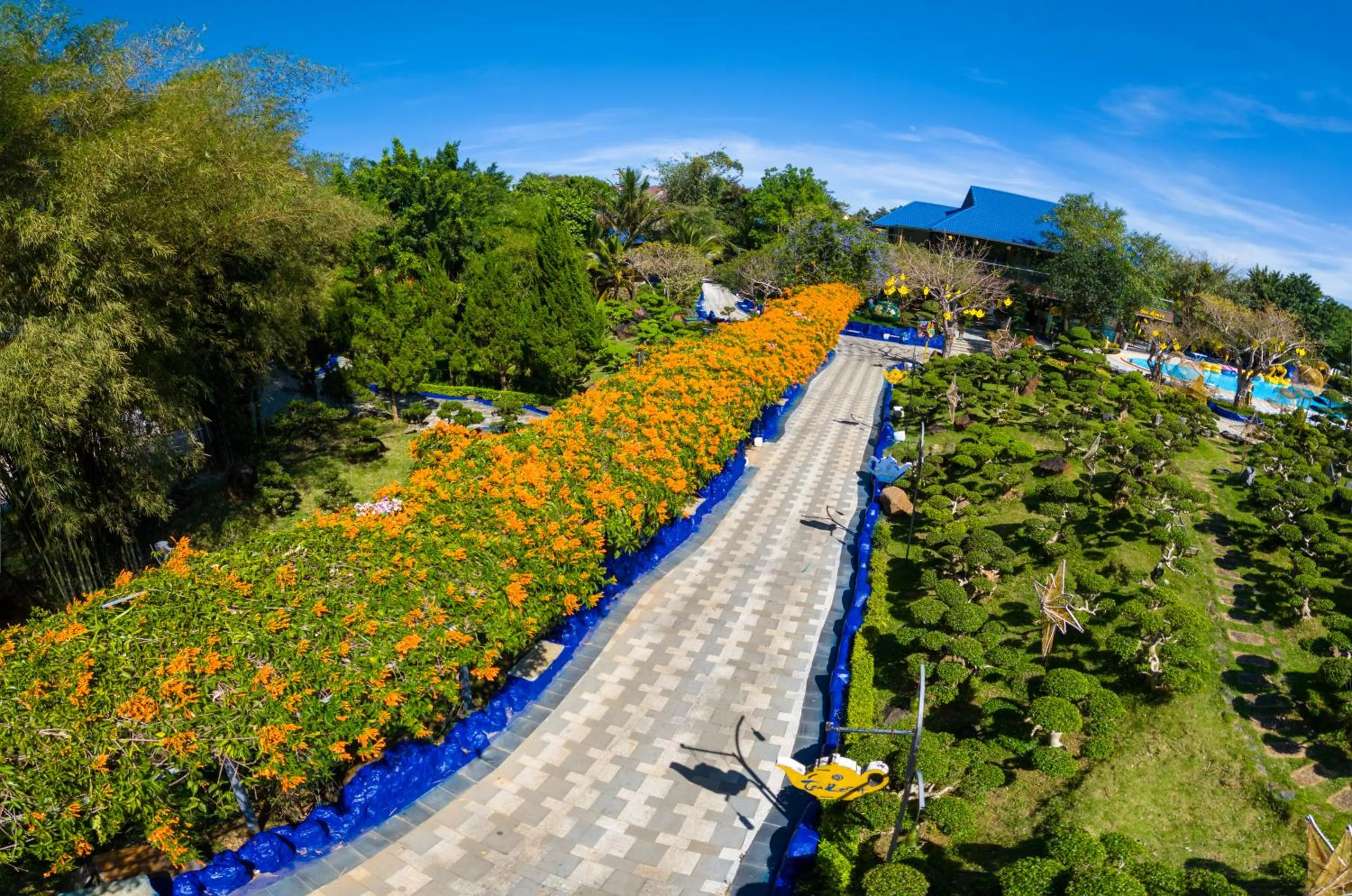Natural landscape in Tea Resort