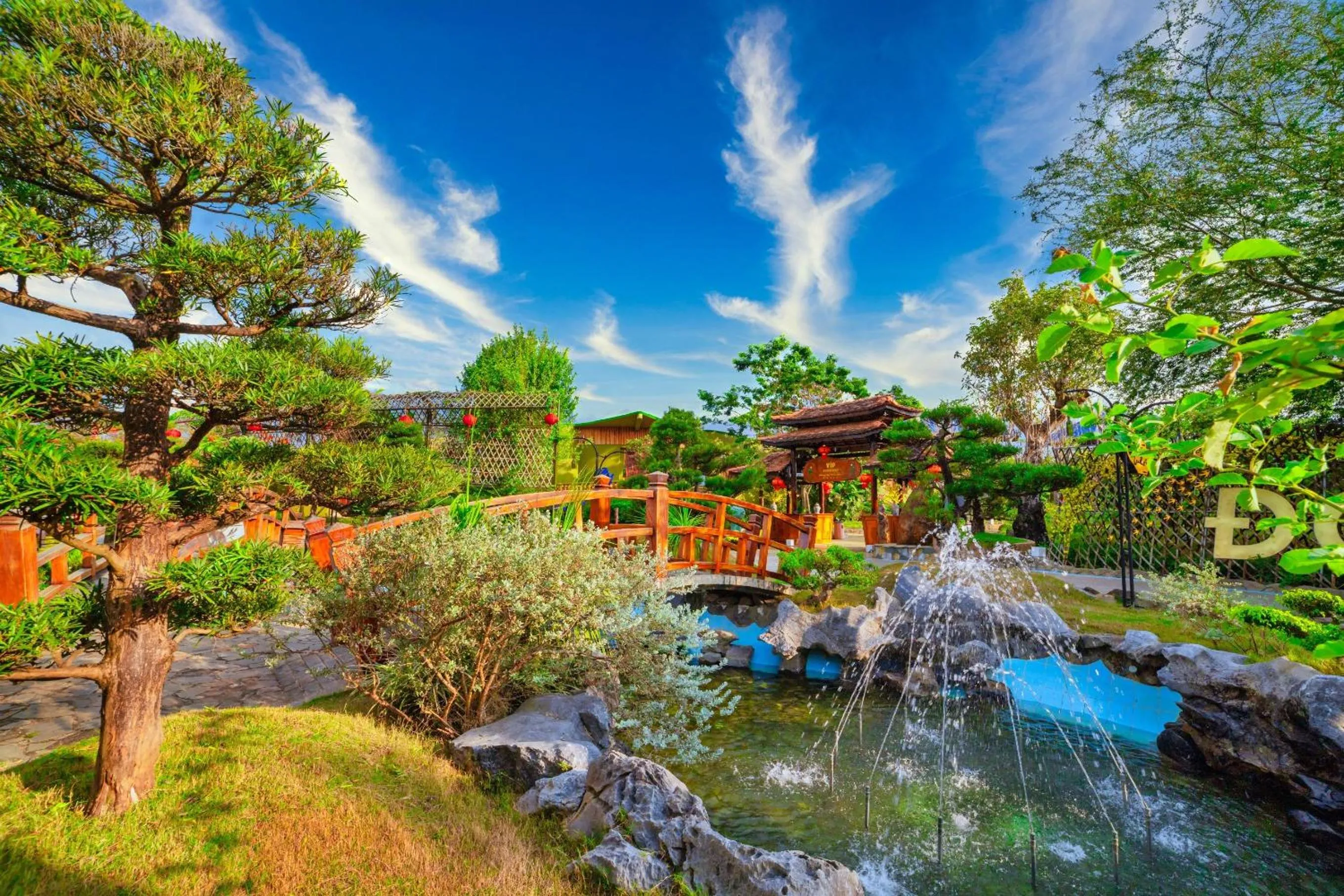 Natural landscape in Tea Resort