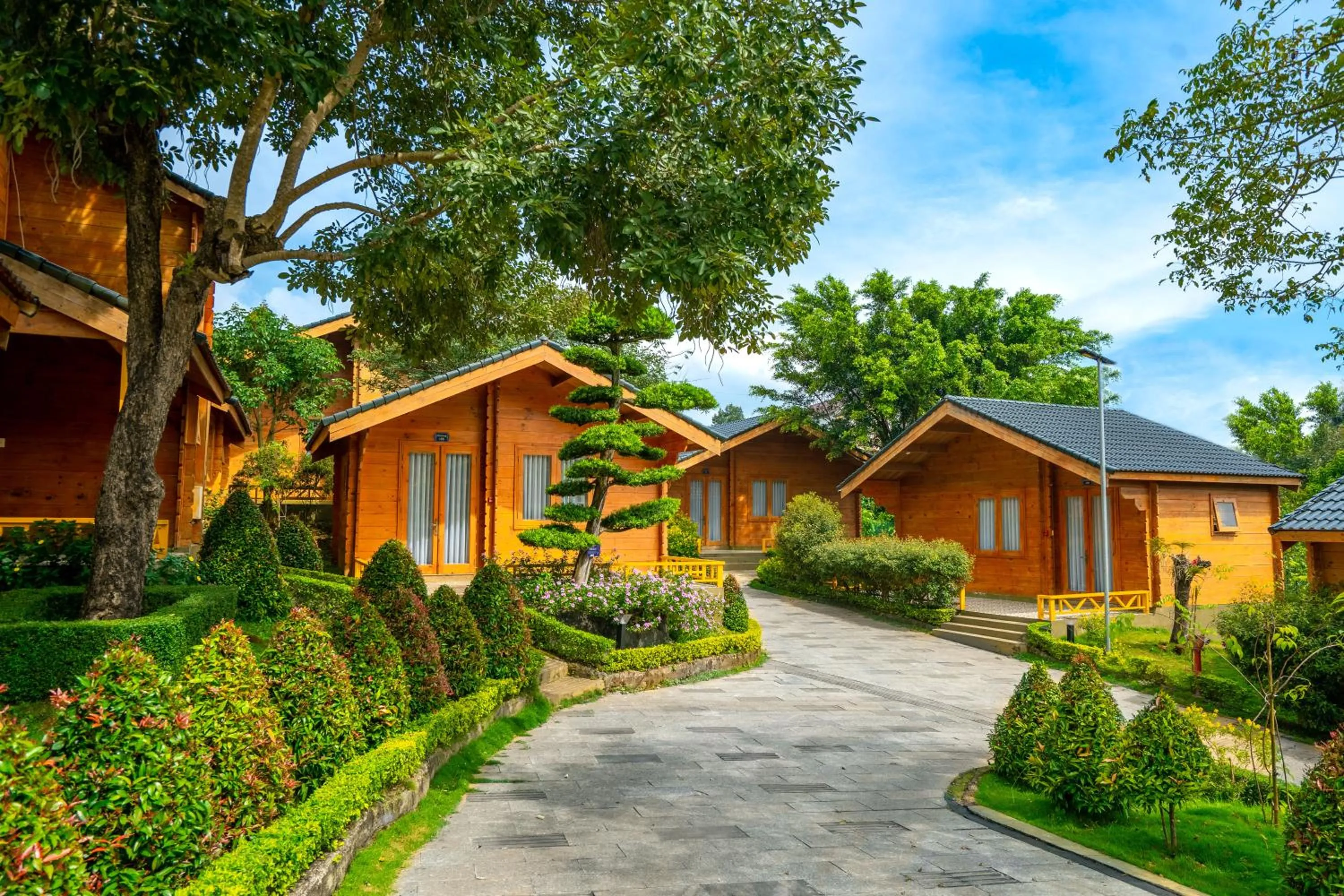 Property building in Tea Resort