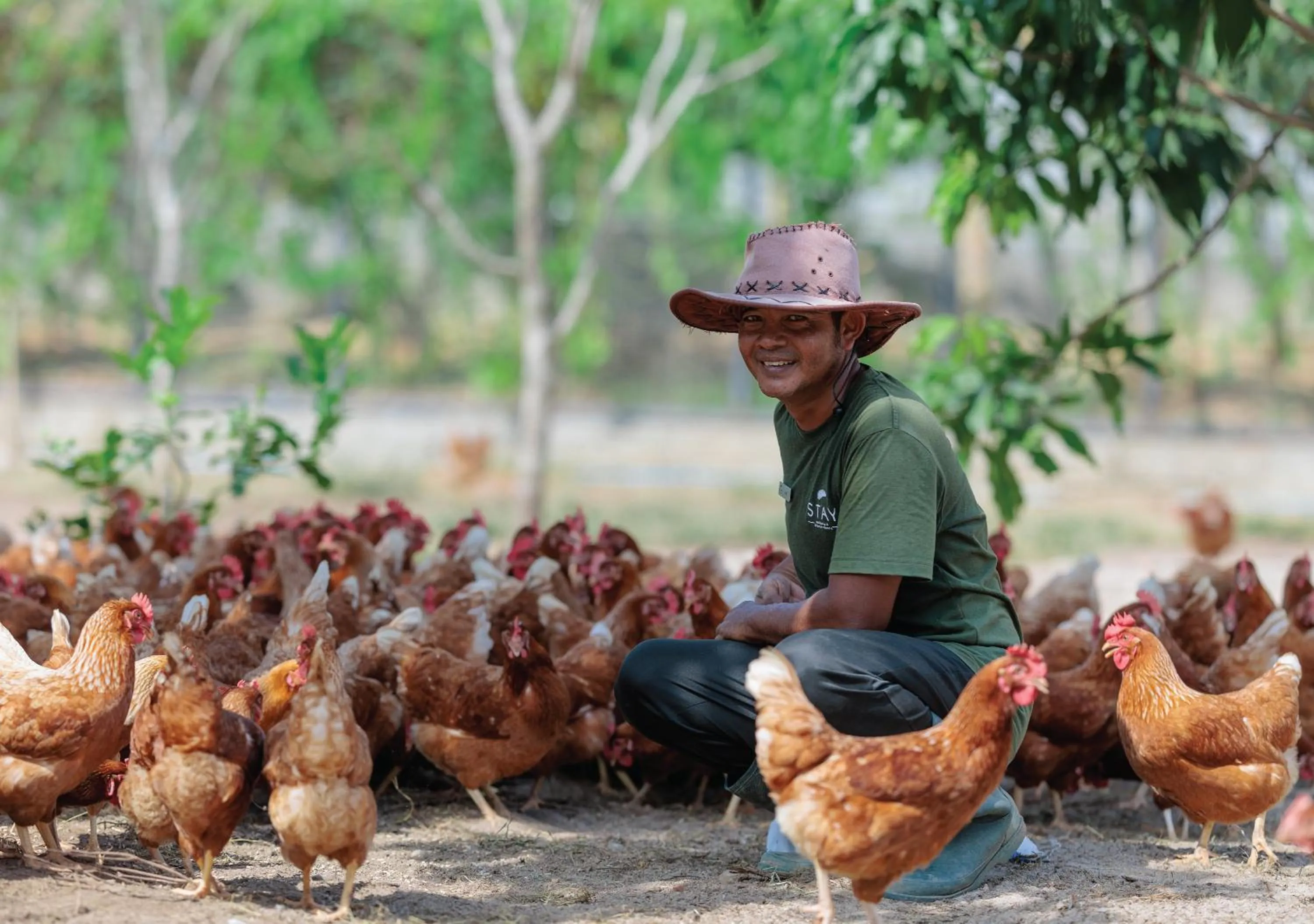 Other in Stay Wellbeing & Lifestyle Resort