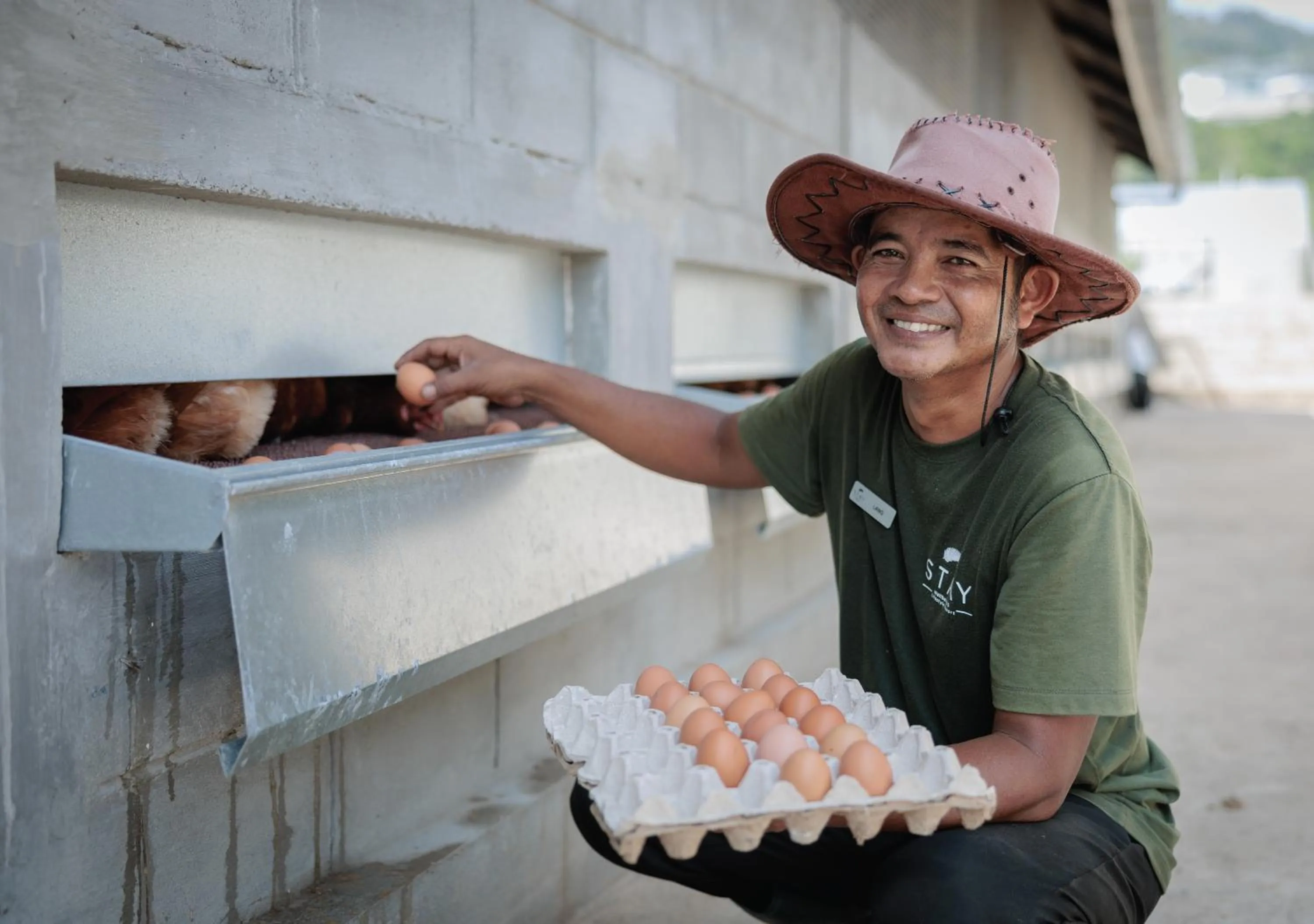 Other in Stay Wellbeing & Lifestyle Resort