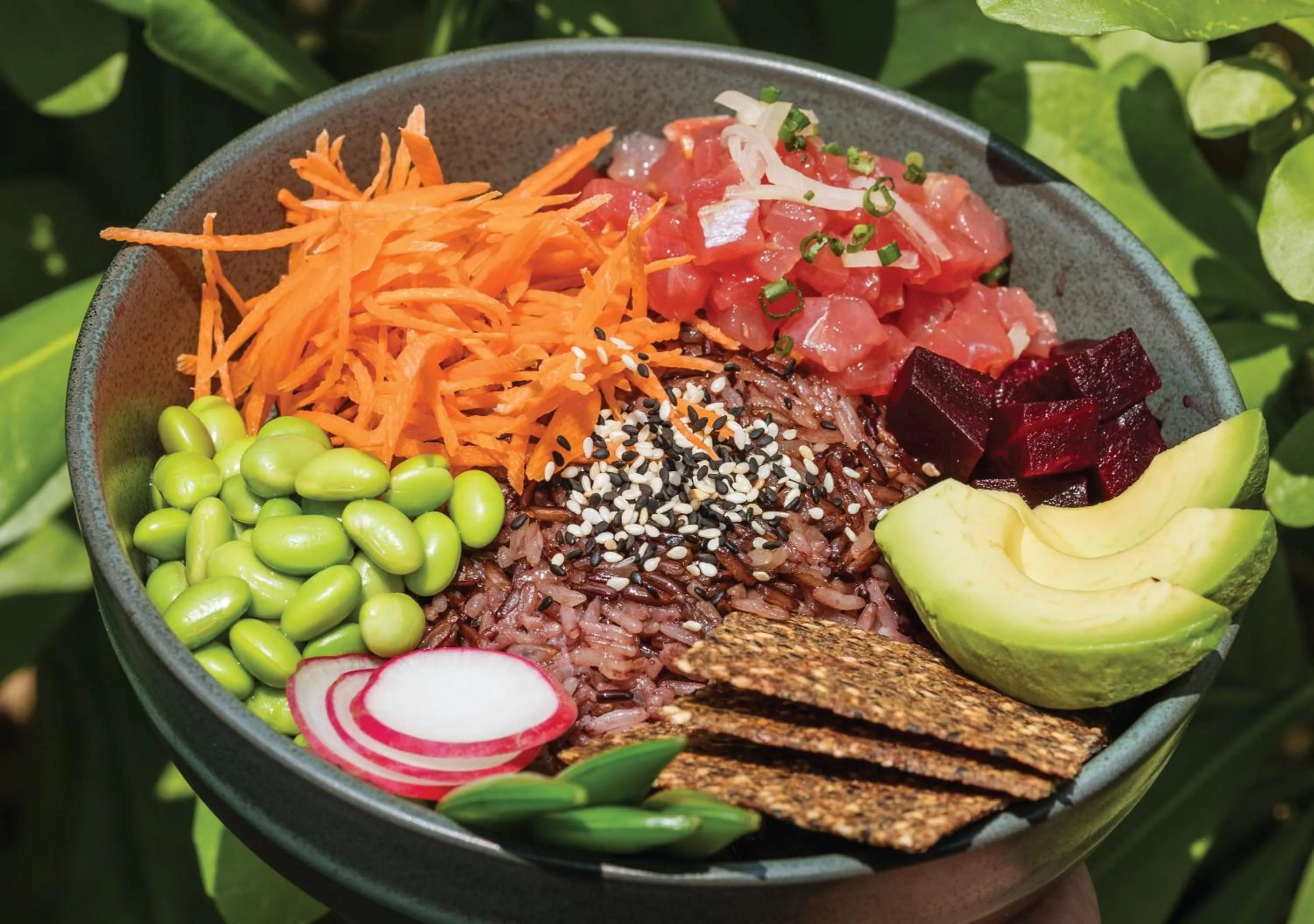 Restaurant/places to eat in Stay Wellbeing & Lifestyle Resort