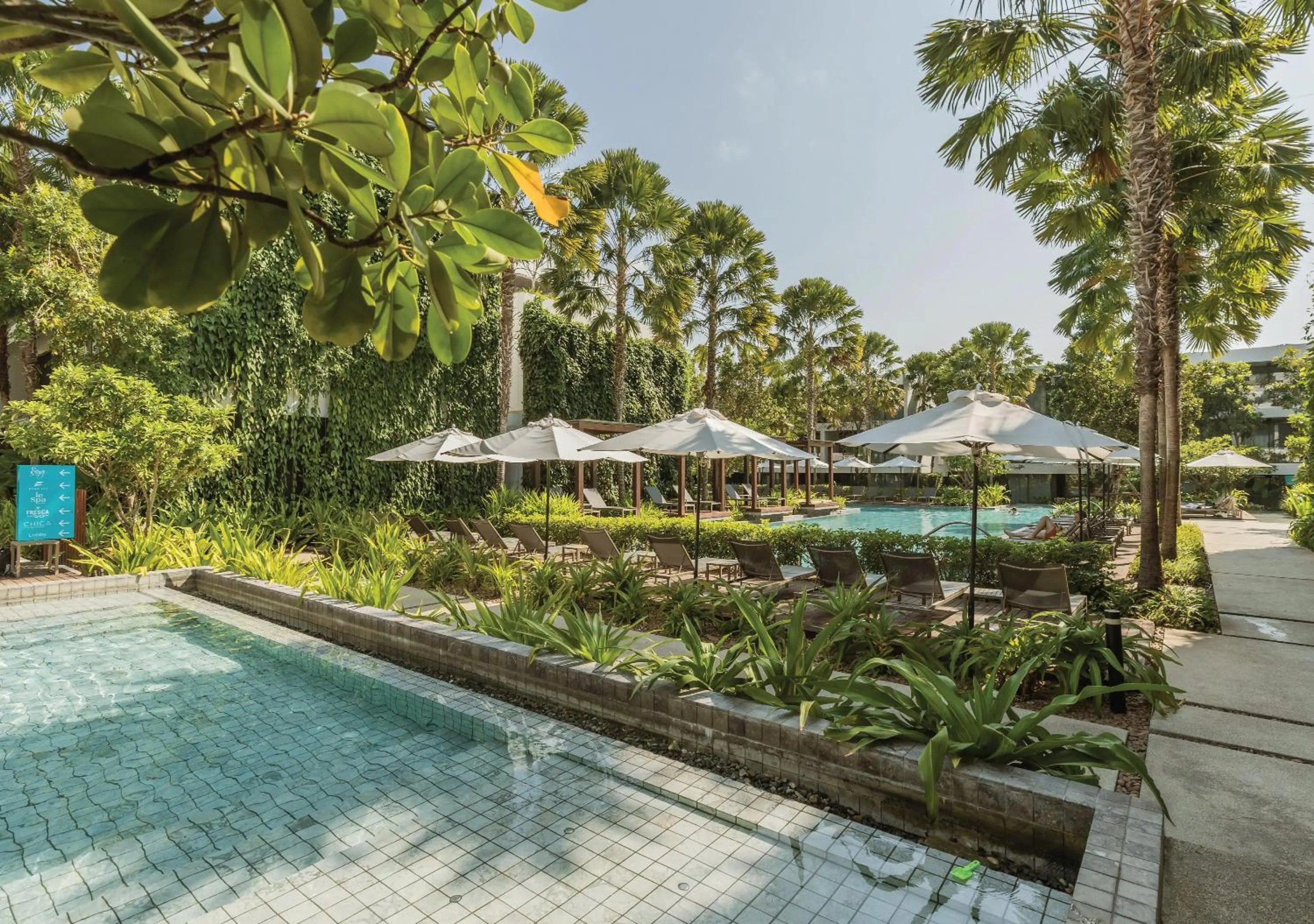 Swimming pool in Stay Wellbeing & Lifestyle Resort