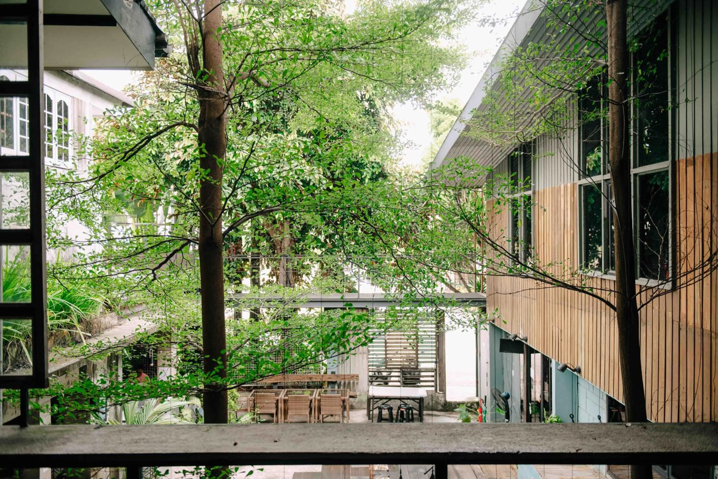 View (from property/room) in The Flying Fish Hostel Cebu