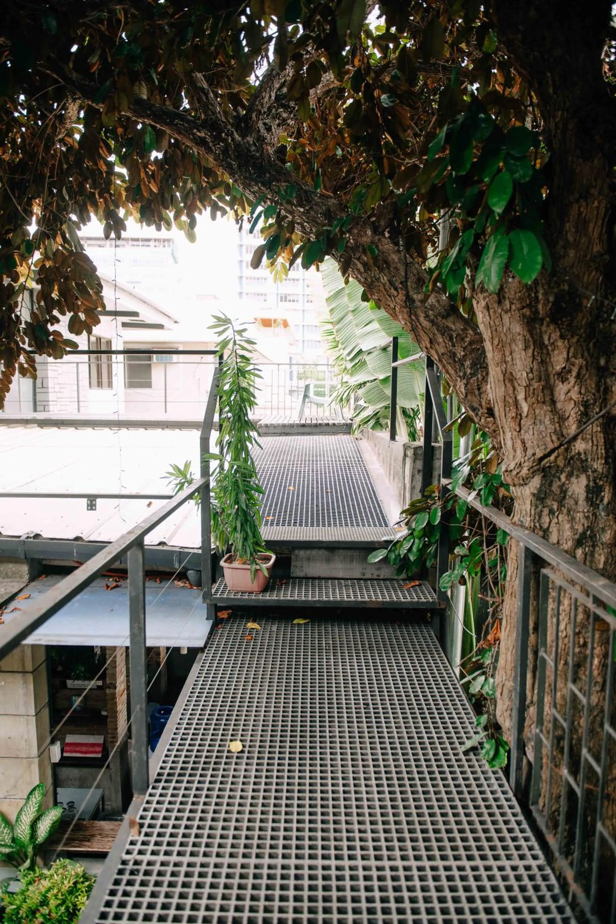 Balcony/Terrace in The Flying Fish Hostel Cebu