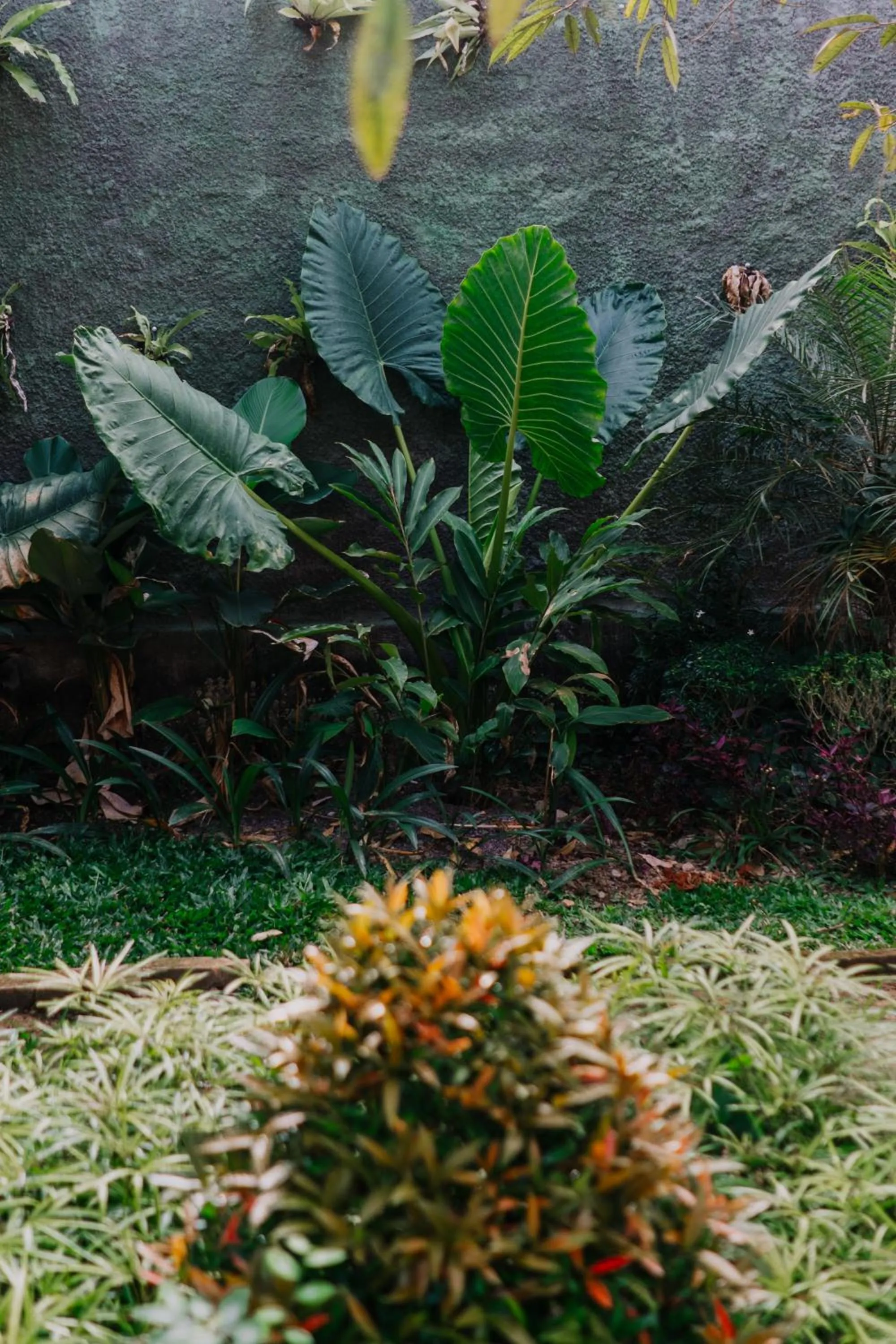 Garden in Rahayu Guest House Ubud