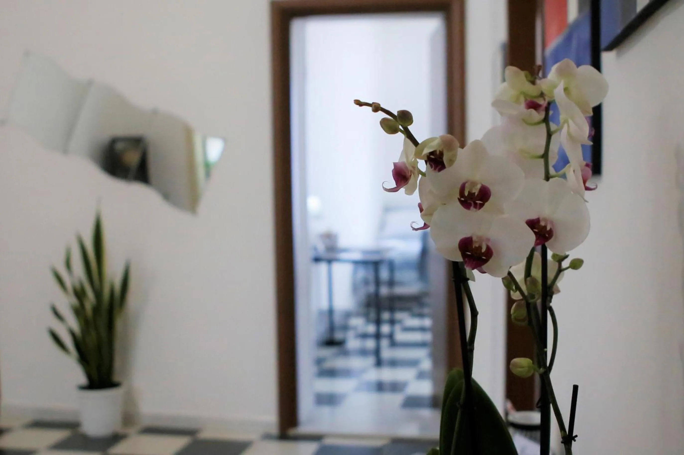 MB Napoles intera casa