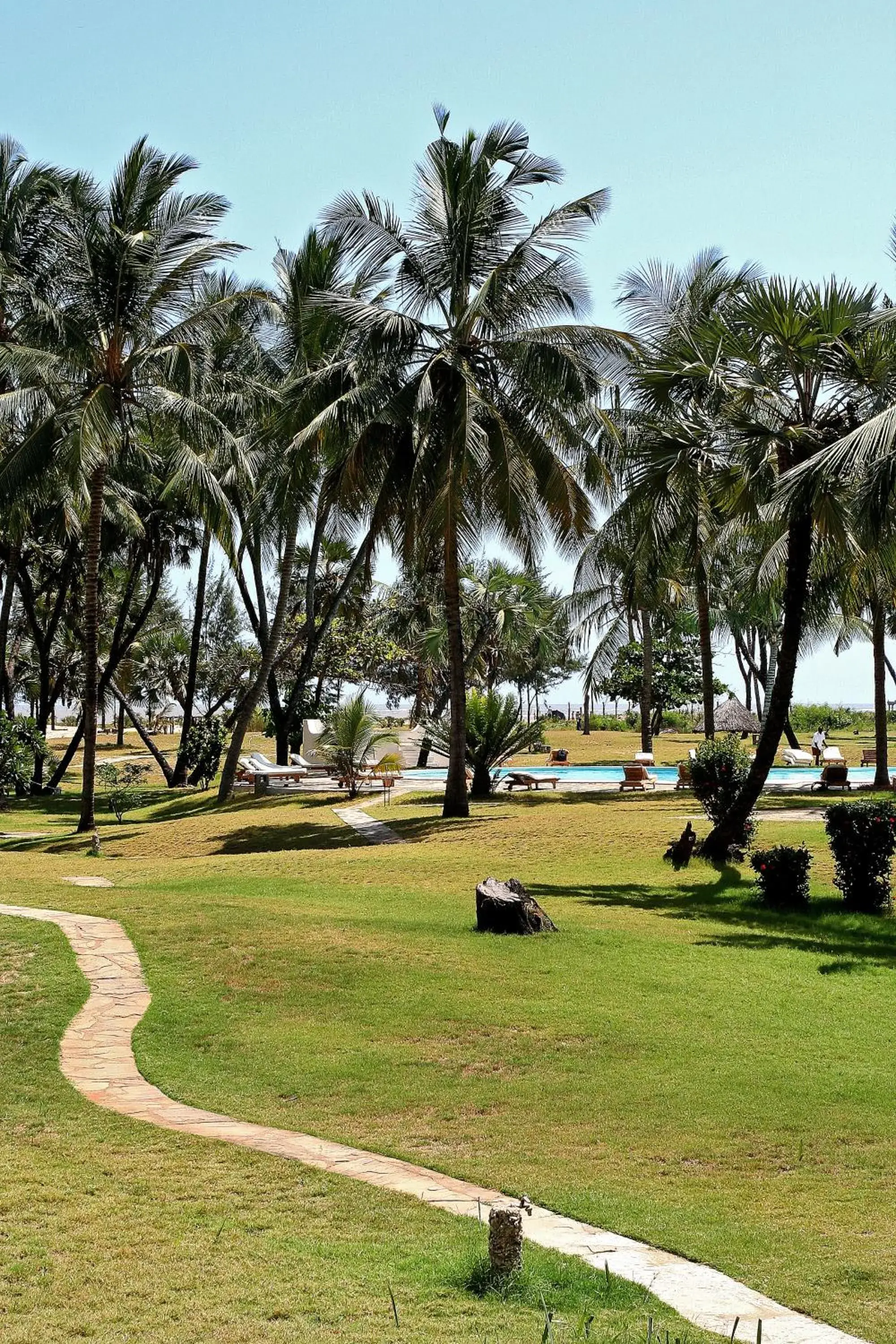 Garden view in The Lawford Hotel Garden view in The Lawford Hotel