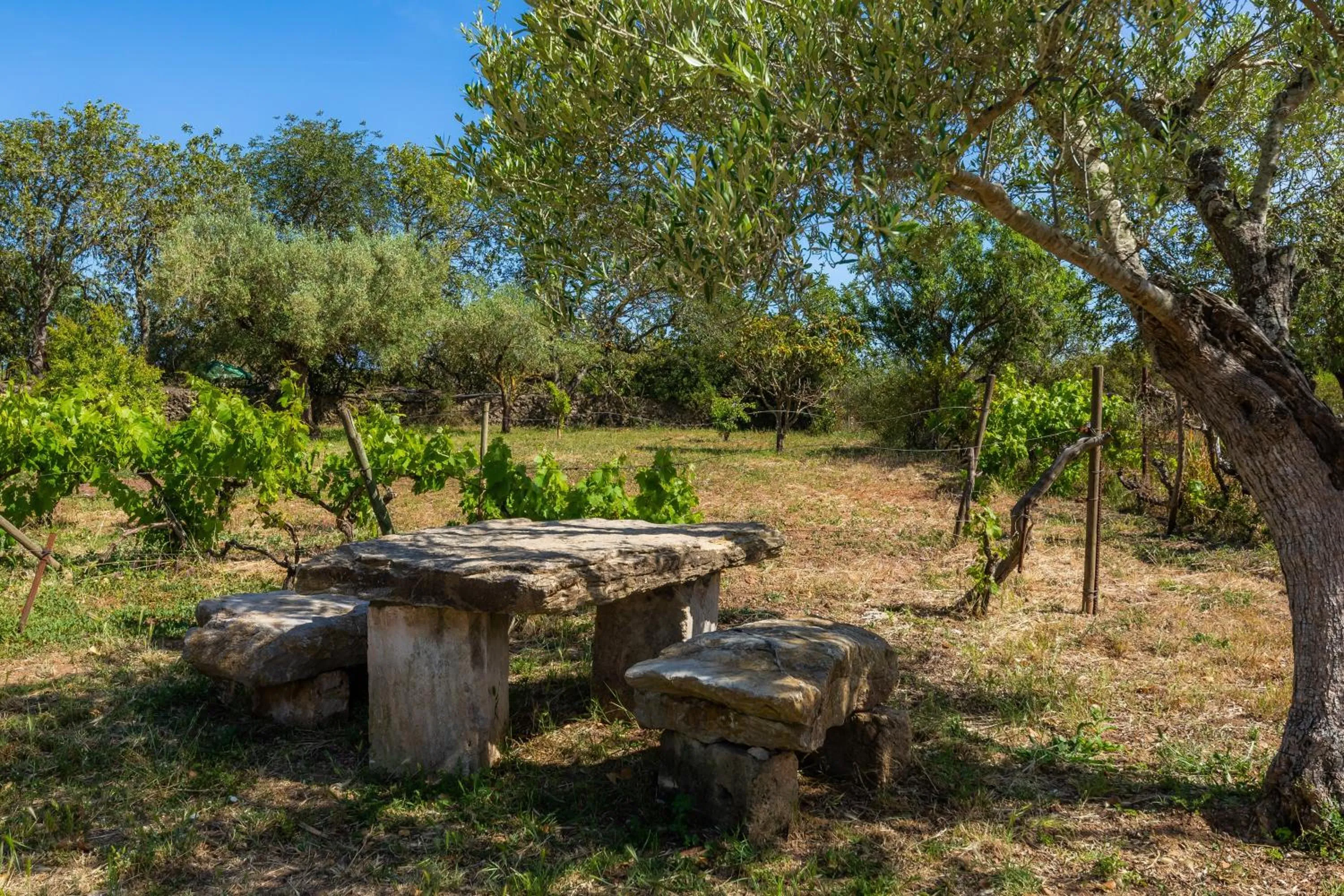 Property building in Sa Creu De Saume