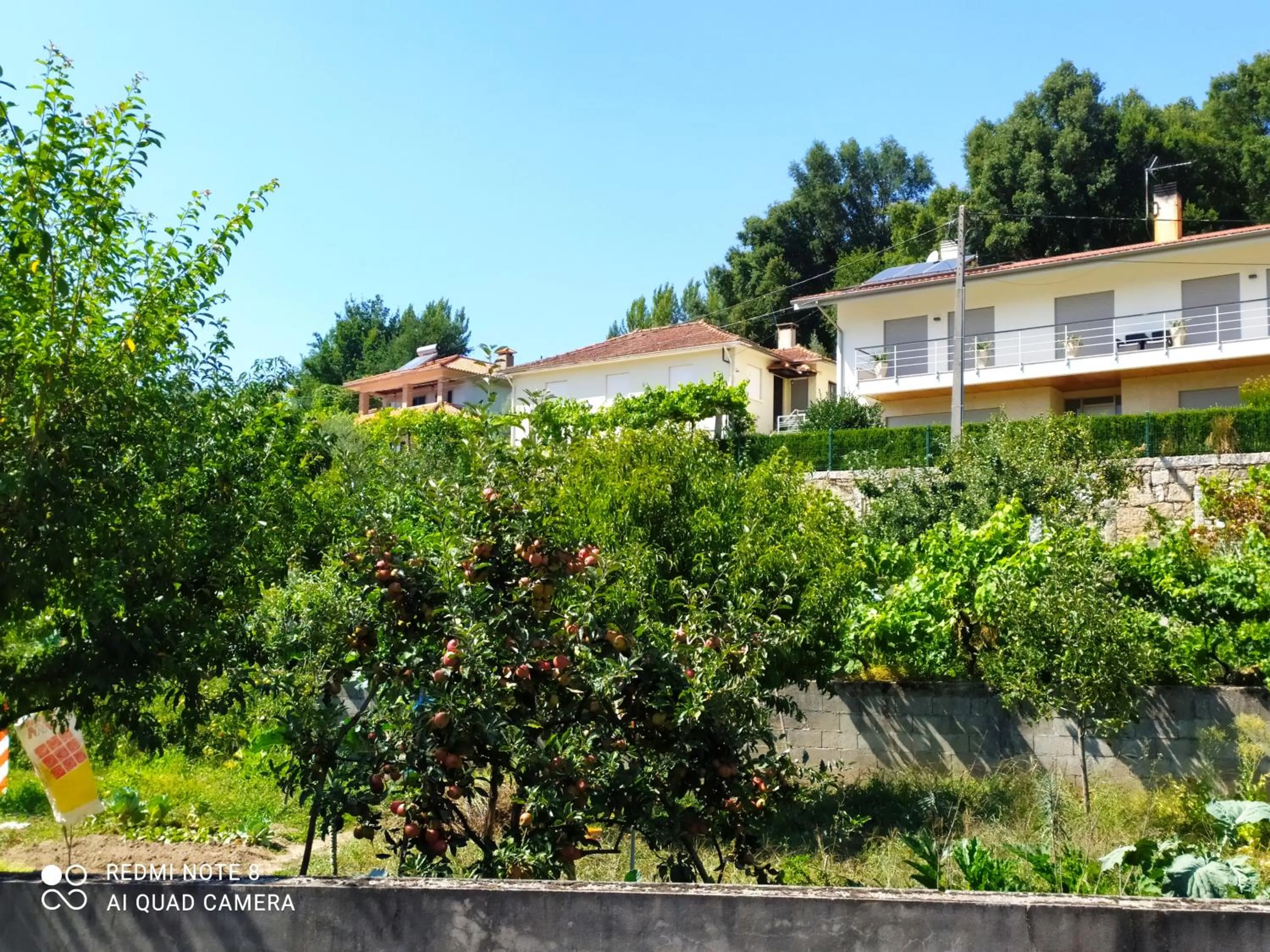 BellaVista Alojamento