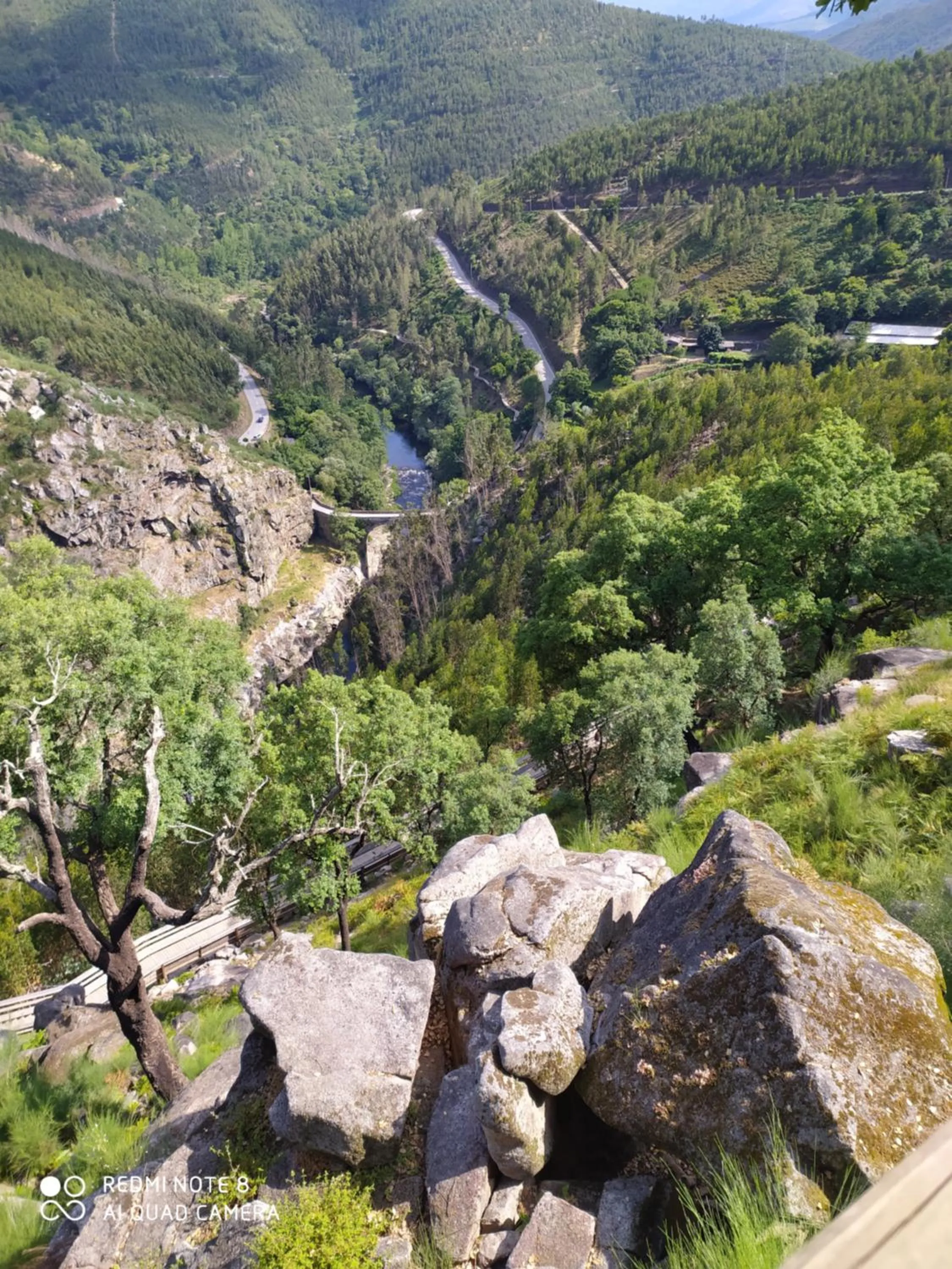 BellaVista Alojamento