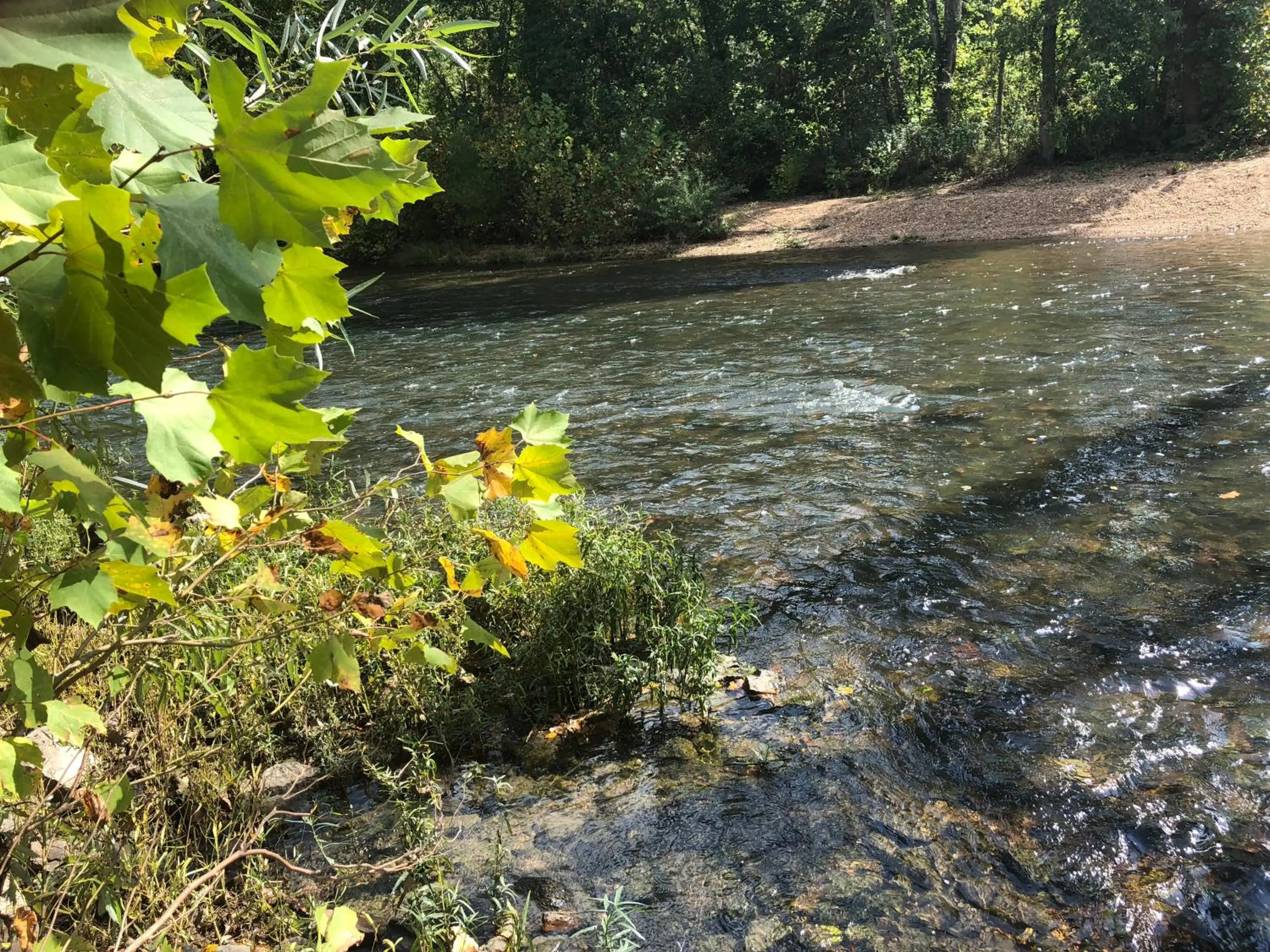 Natural landscape in Meramec River Resort