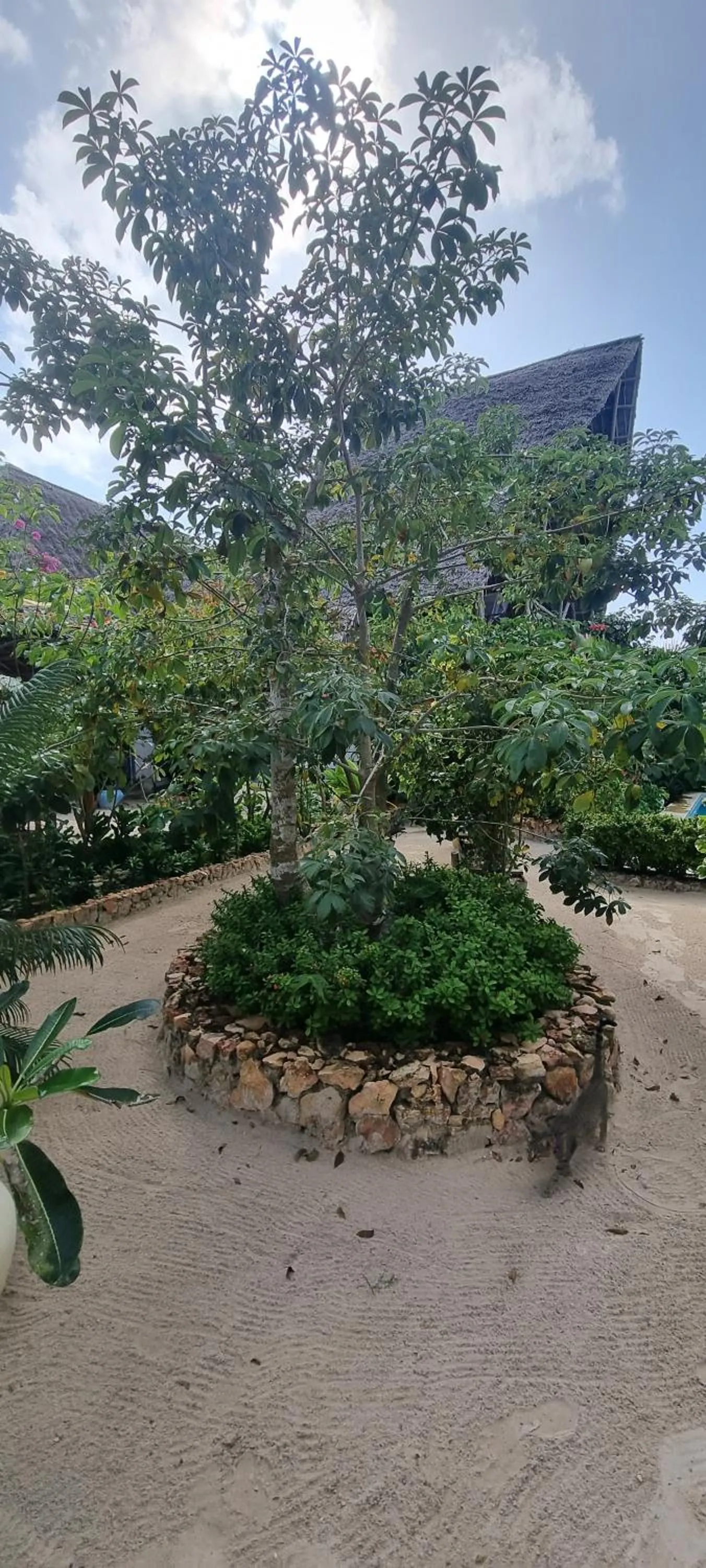 Garden in Salama & Mbuyuni Bungalows