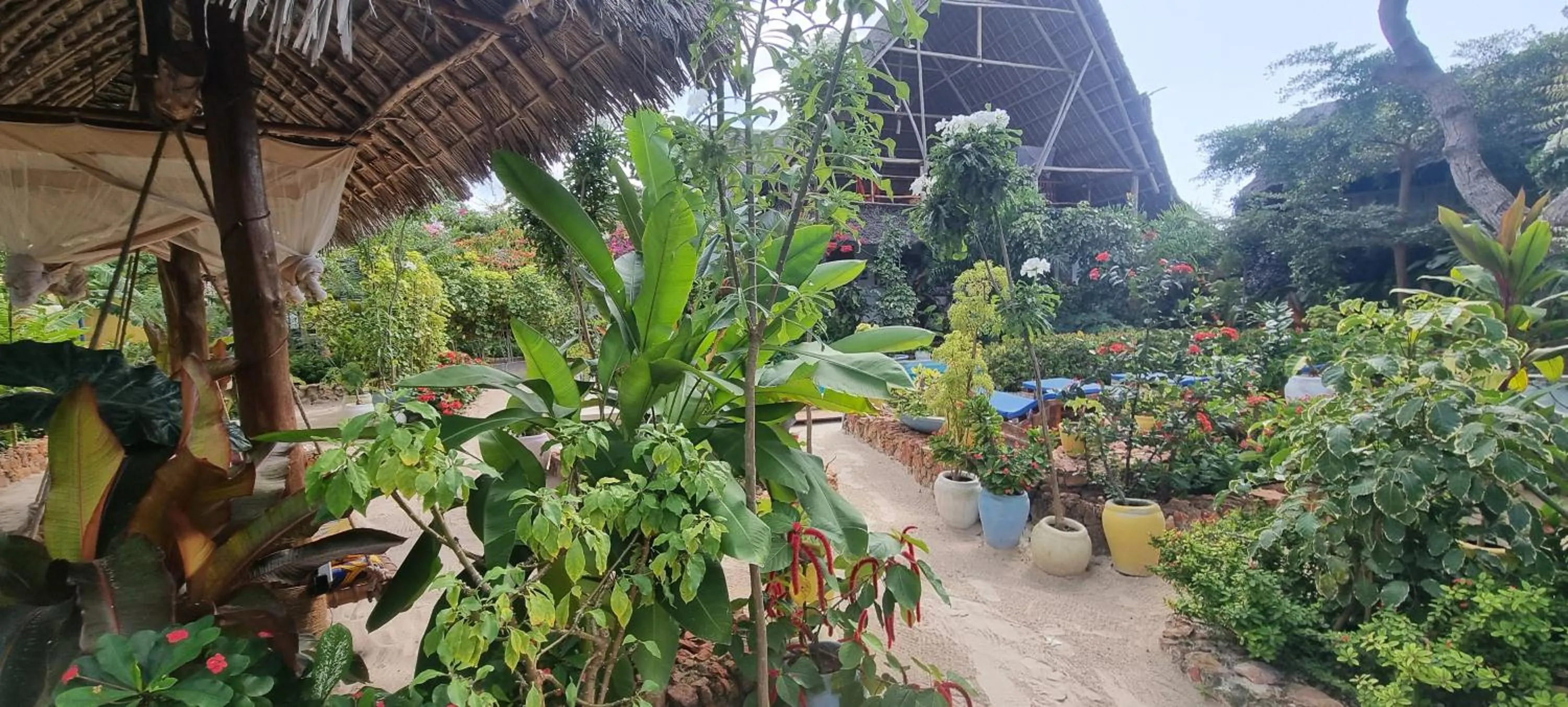 Garden in Salama & Mbuyuni Bungalows