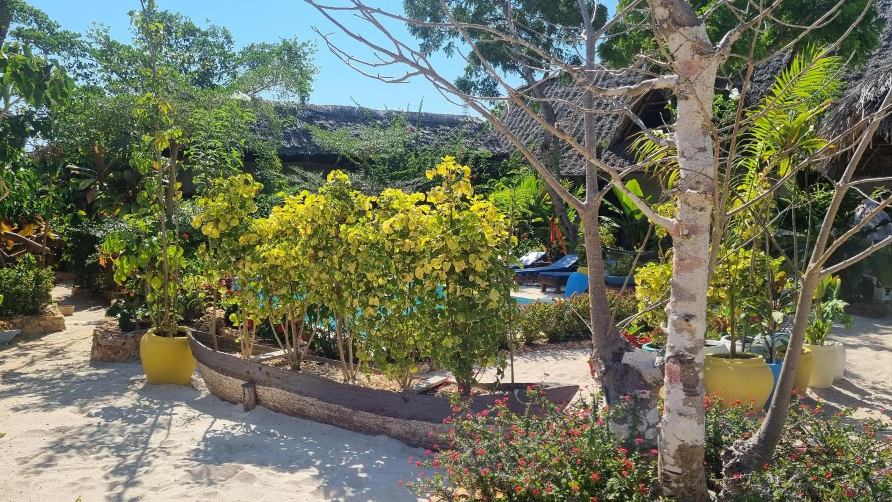 Garden in Salama & Mbuyuni Bungalows